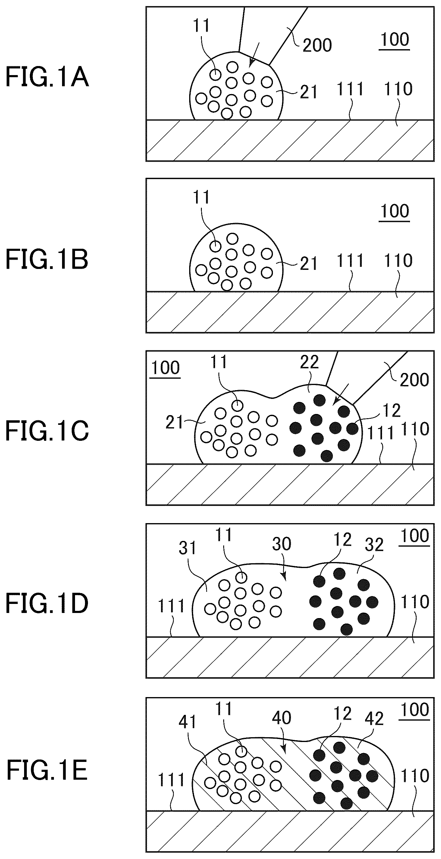 Patent US12312581 Figure 1 – Cell-containing hydrogel body and method for producing same