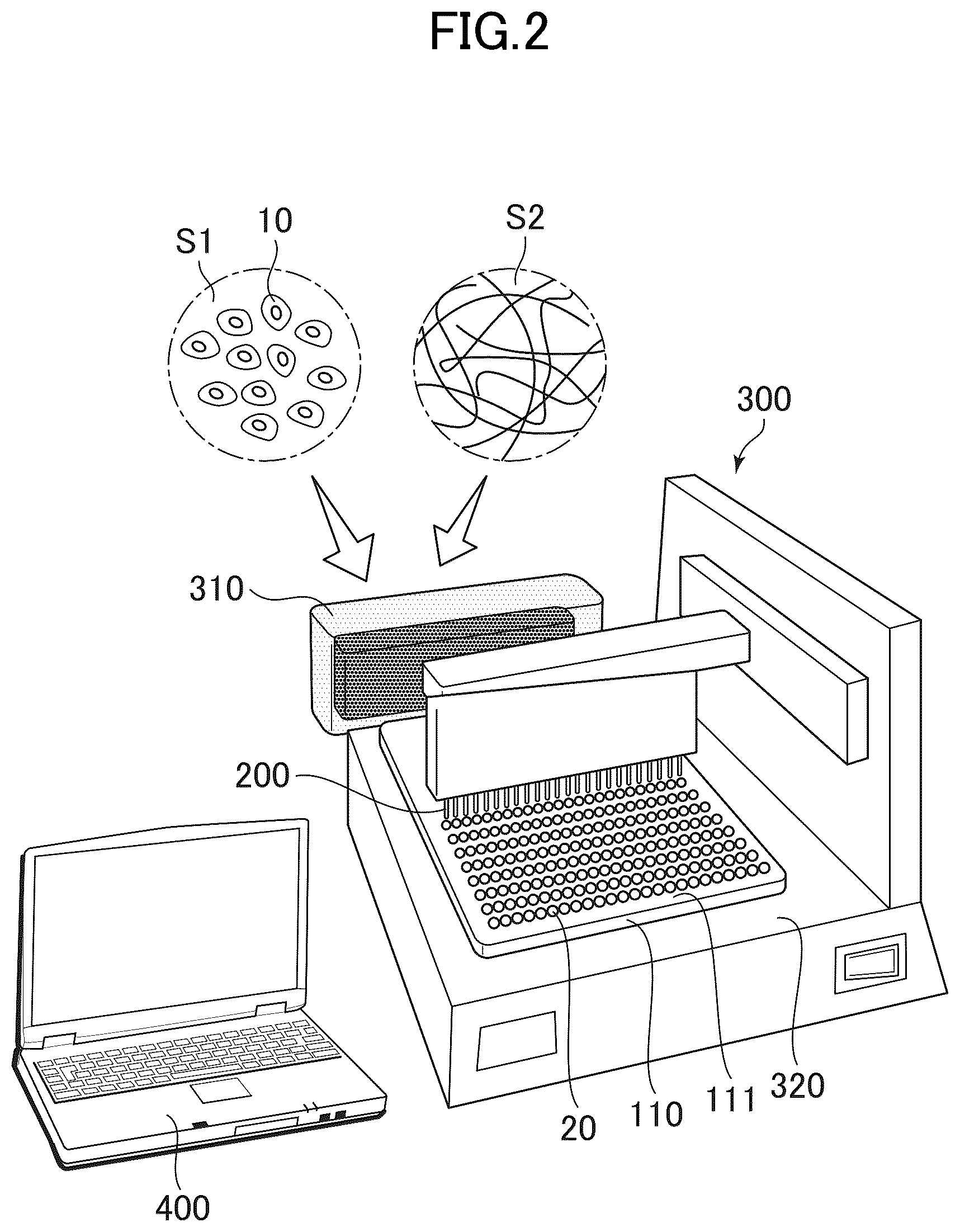 Patent US12312581 Figure 2 – Cell-containing hydrogel body and method for producing same