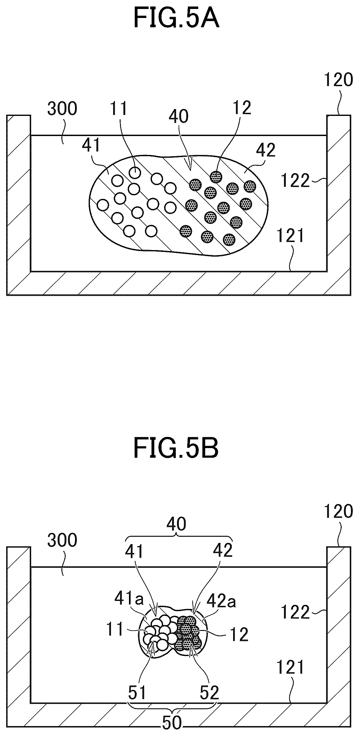 Patent US12312581 Figure 5 – Cell-containing hydrogel body and method for producing same
