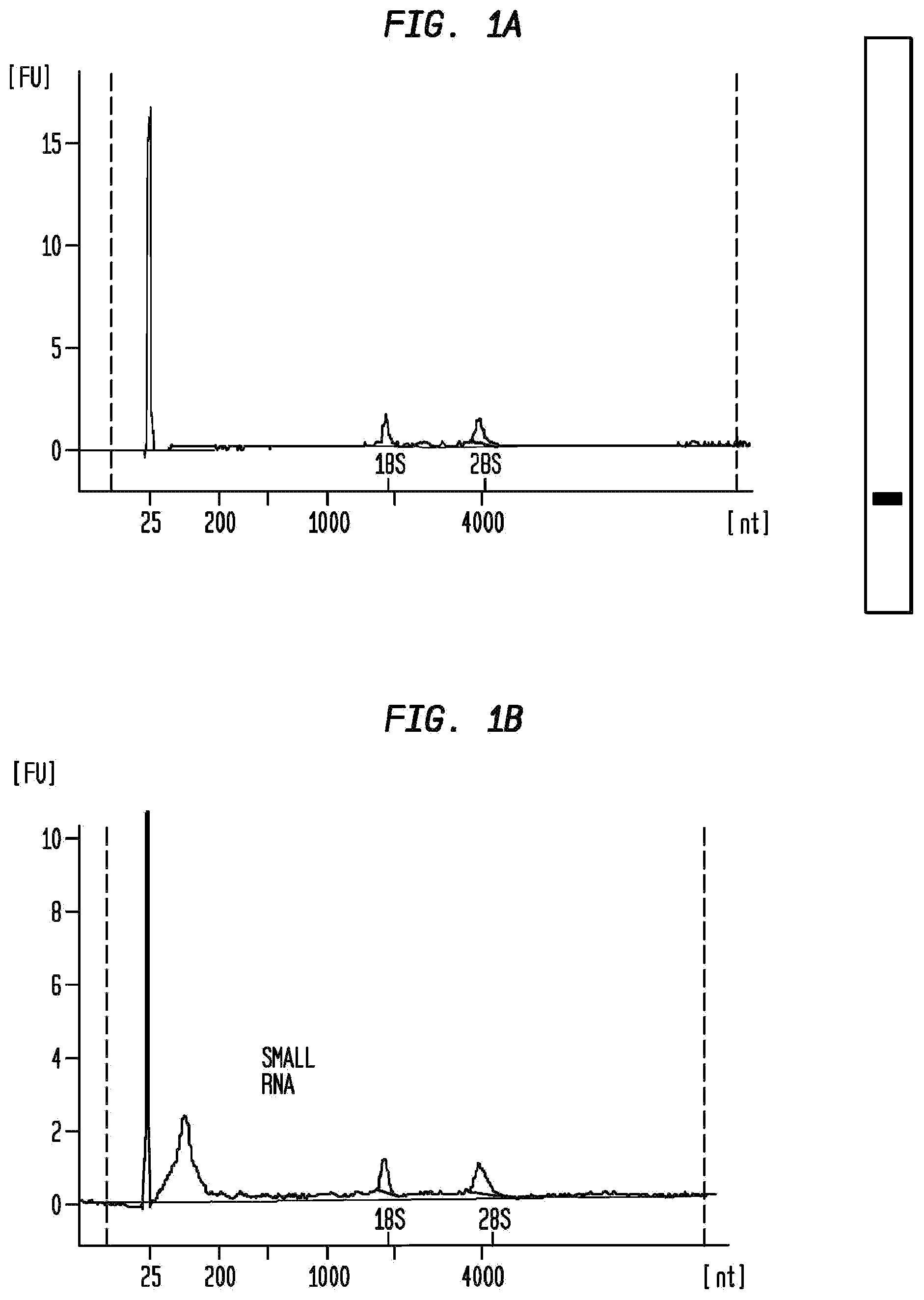 Patent US12312582 — Method for isolation of nucleic acid containing particles and extraction of nucleic acids therefrom — Figure 1