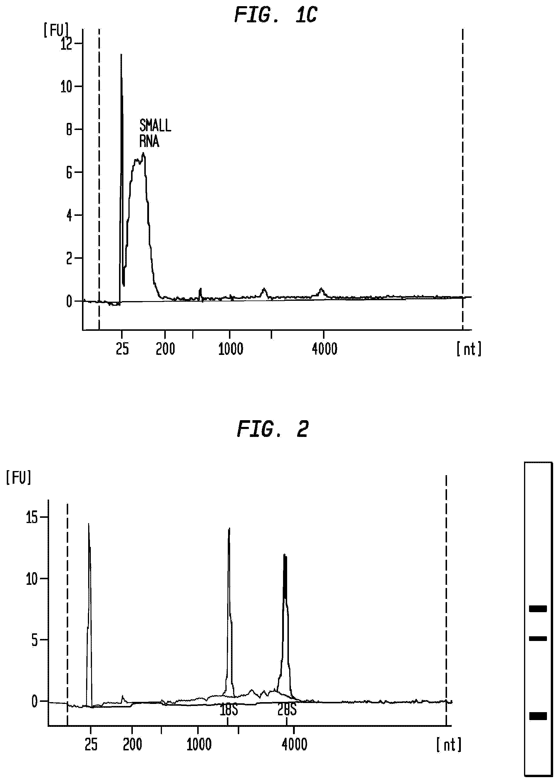 Patent US12312582 Figure 2 – Method for isolation of nucleic acid containing particles and extraction of nucleic acids therefrom