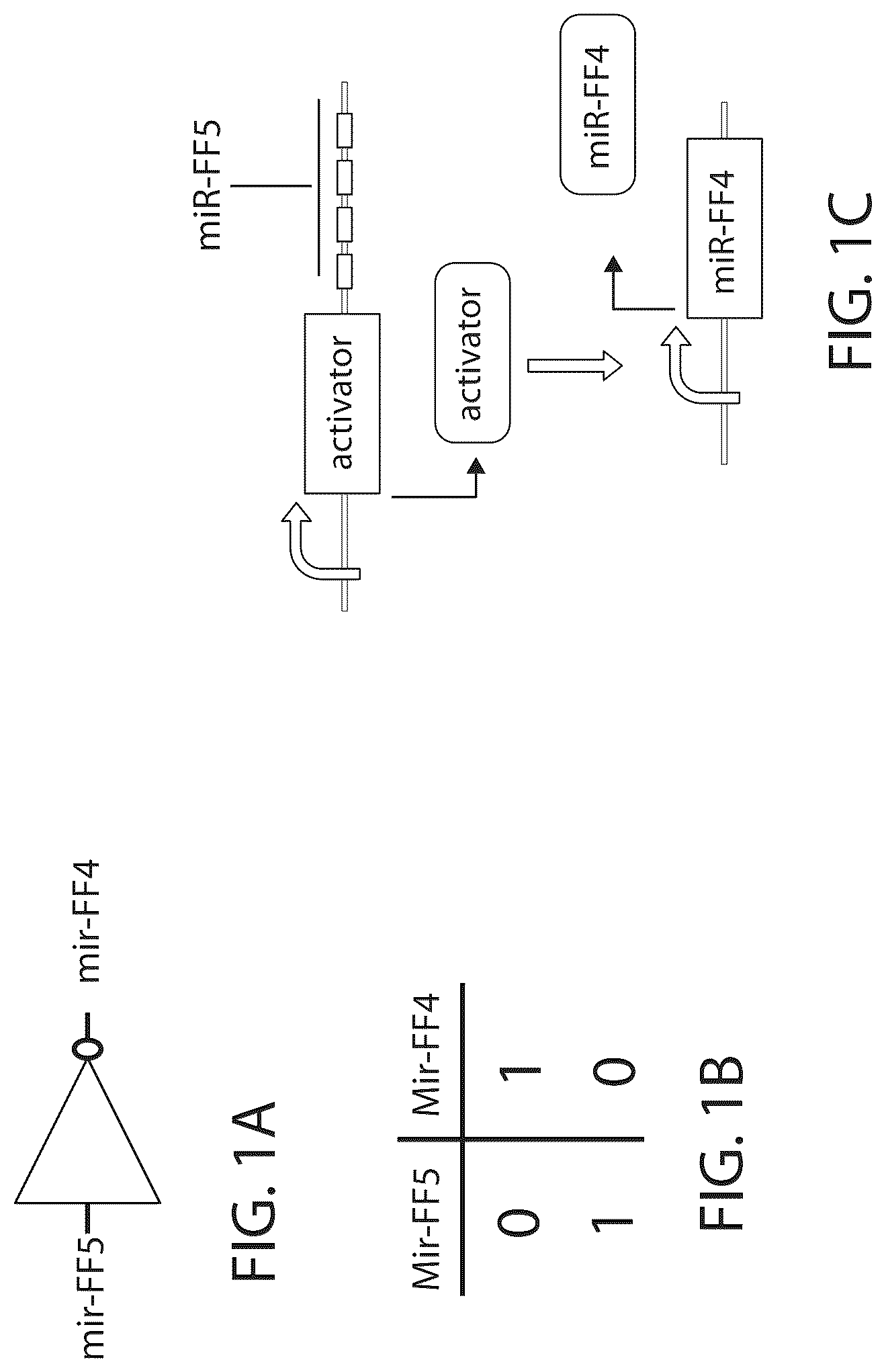 Patent US12312583 Figure 1 – MicroRNA-based logic gates and uses thereof