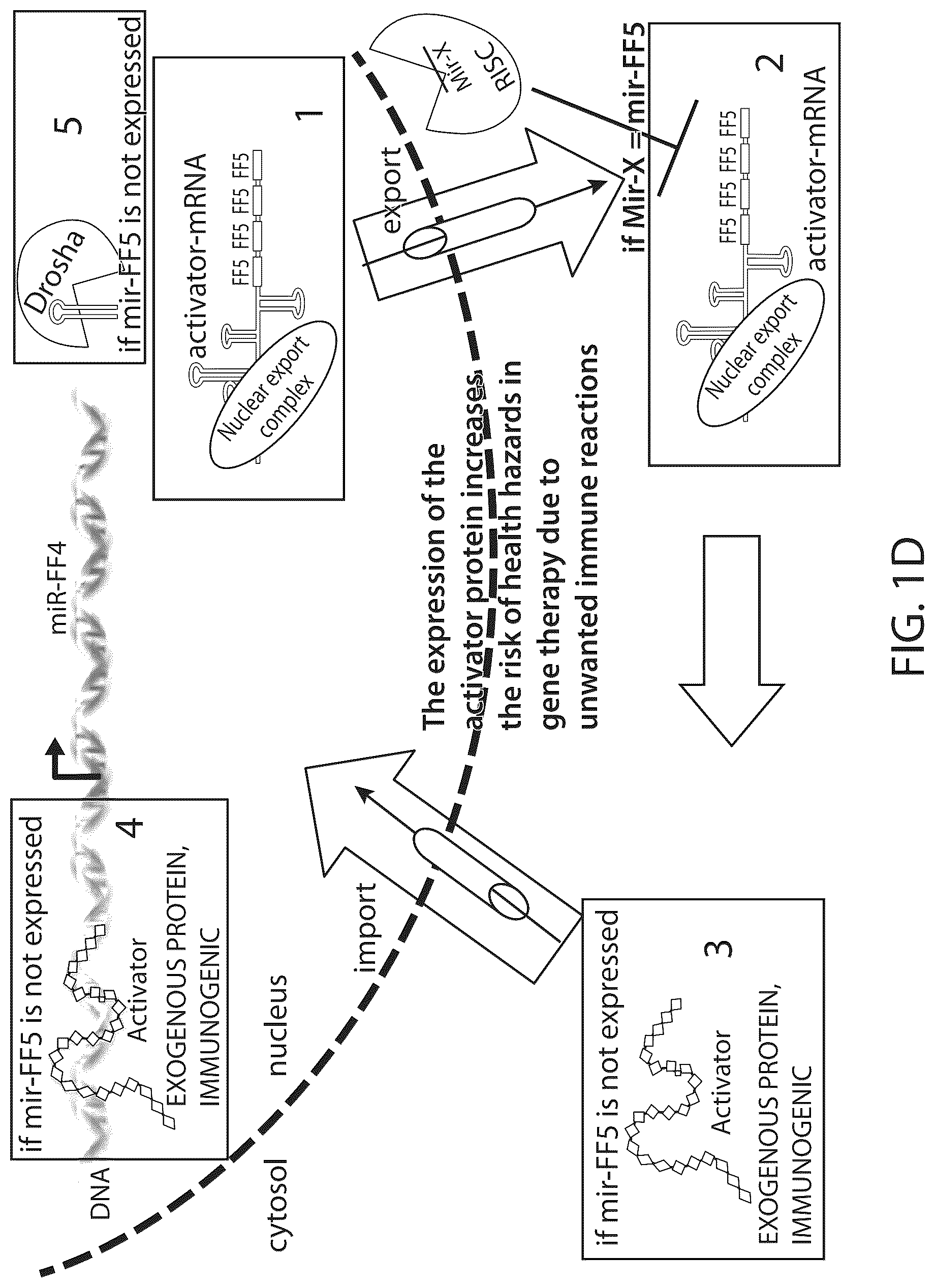 Patent US12312583 Figure 2 – MicroRNA-based logic gates and uses thereof