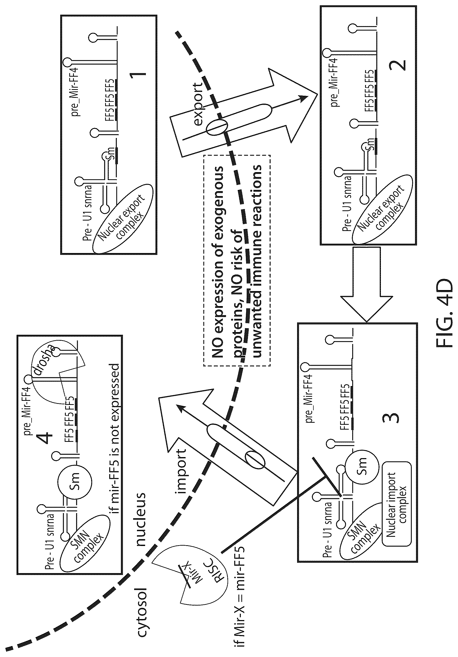 Patent US12312583 Figure 6 – MicroRNA-based logic gates and uses thereof