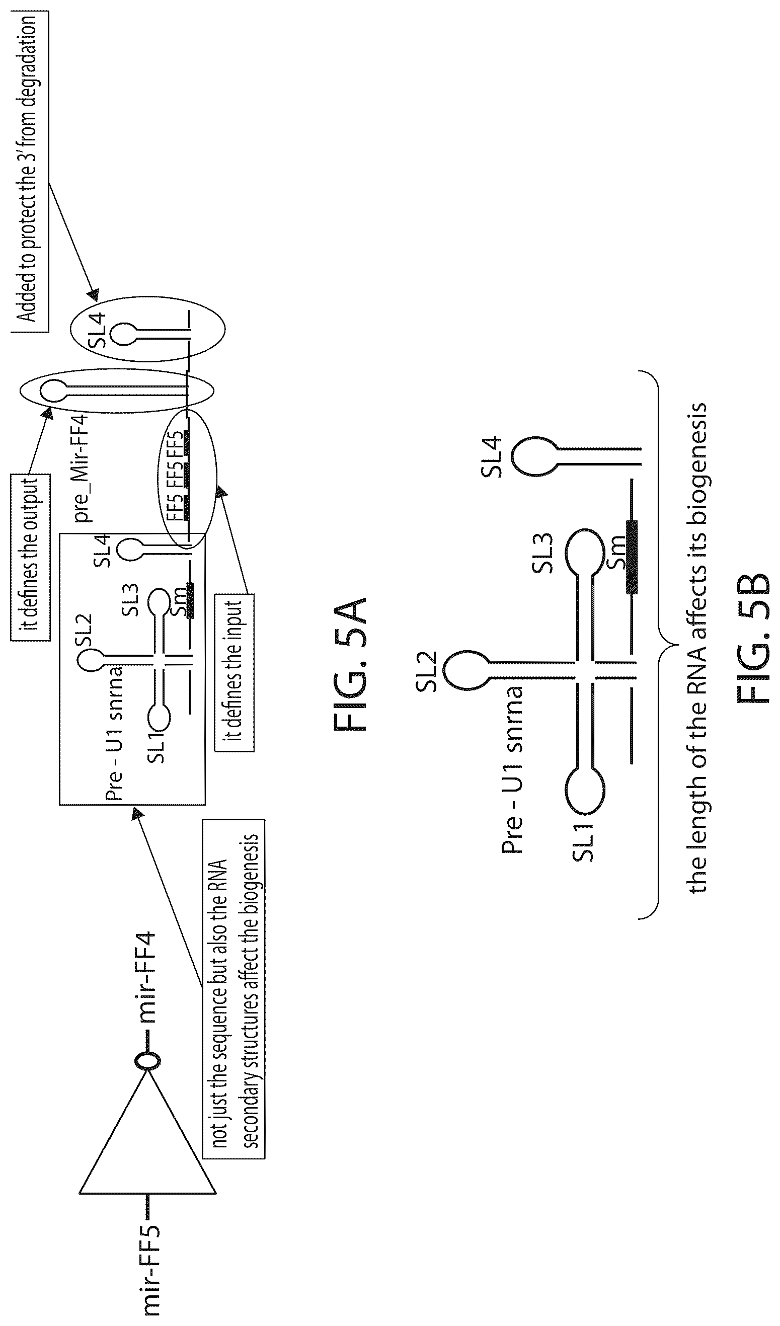 Patent US12312583 Figure 7 – MicroRNA-based logic gates and uses thereof
