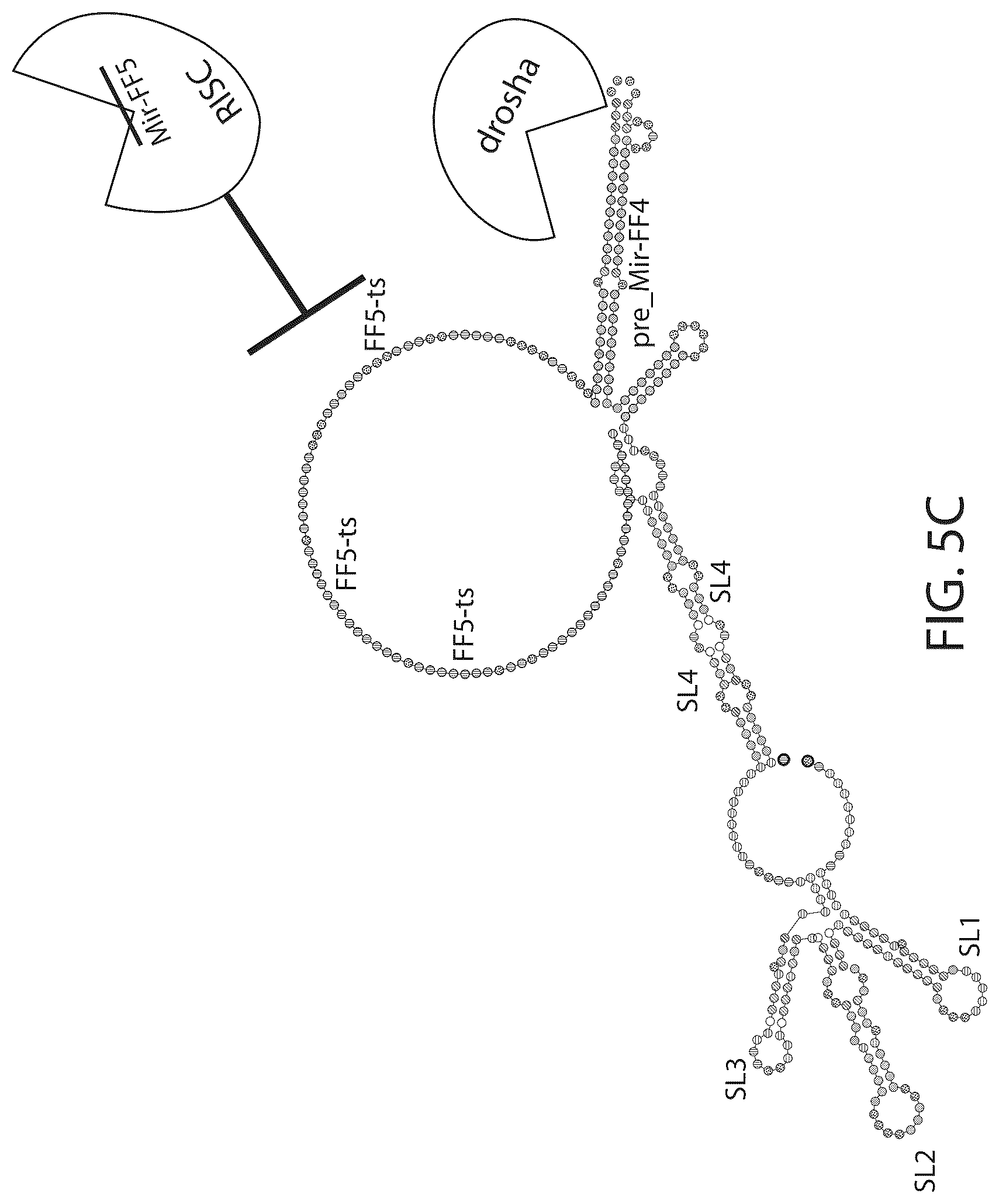 Patent US12312583 Figure 8 – MicroRNA-based logic gates and uses thereof