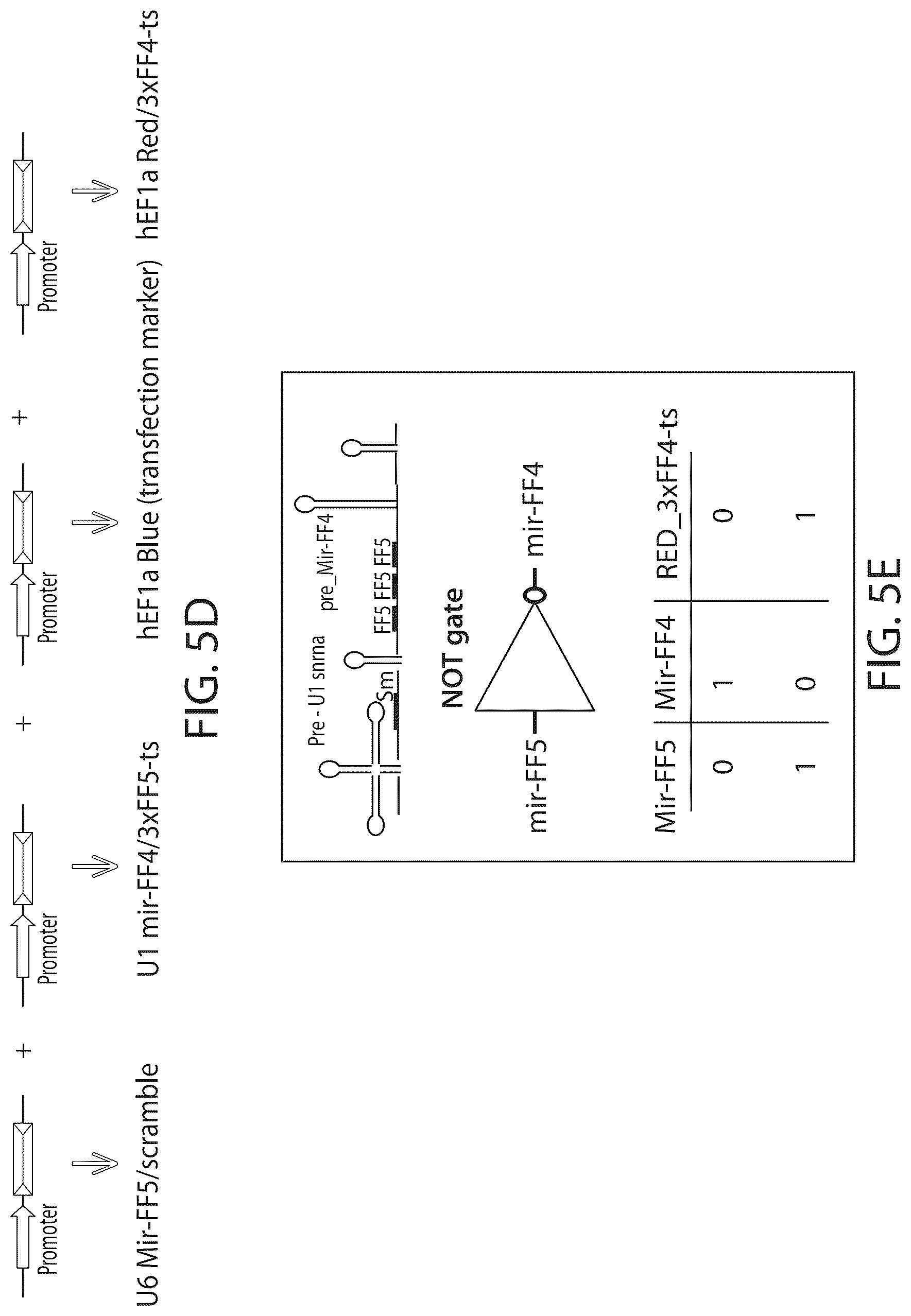 Patent US12312583 Figure 9 – MicroRNA-based logic gates and uses thereof