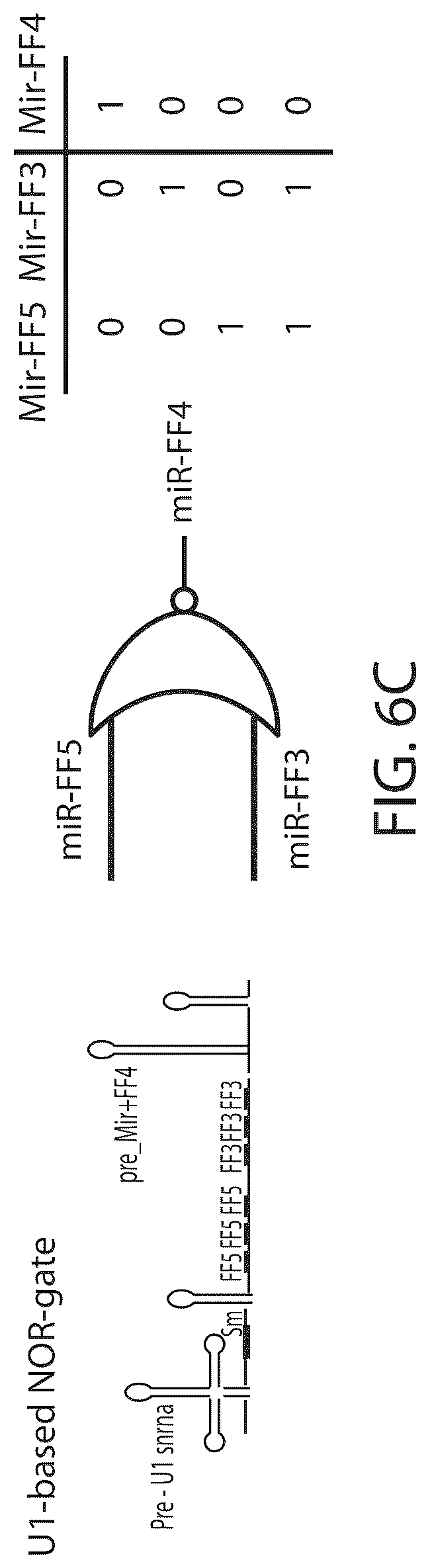 Patent US12312583 Figure 12 – MicroRNA-based logic gates and uses thereof