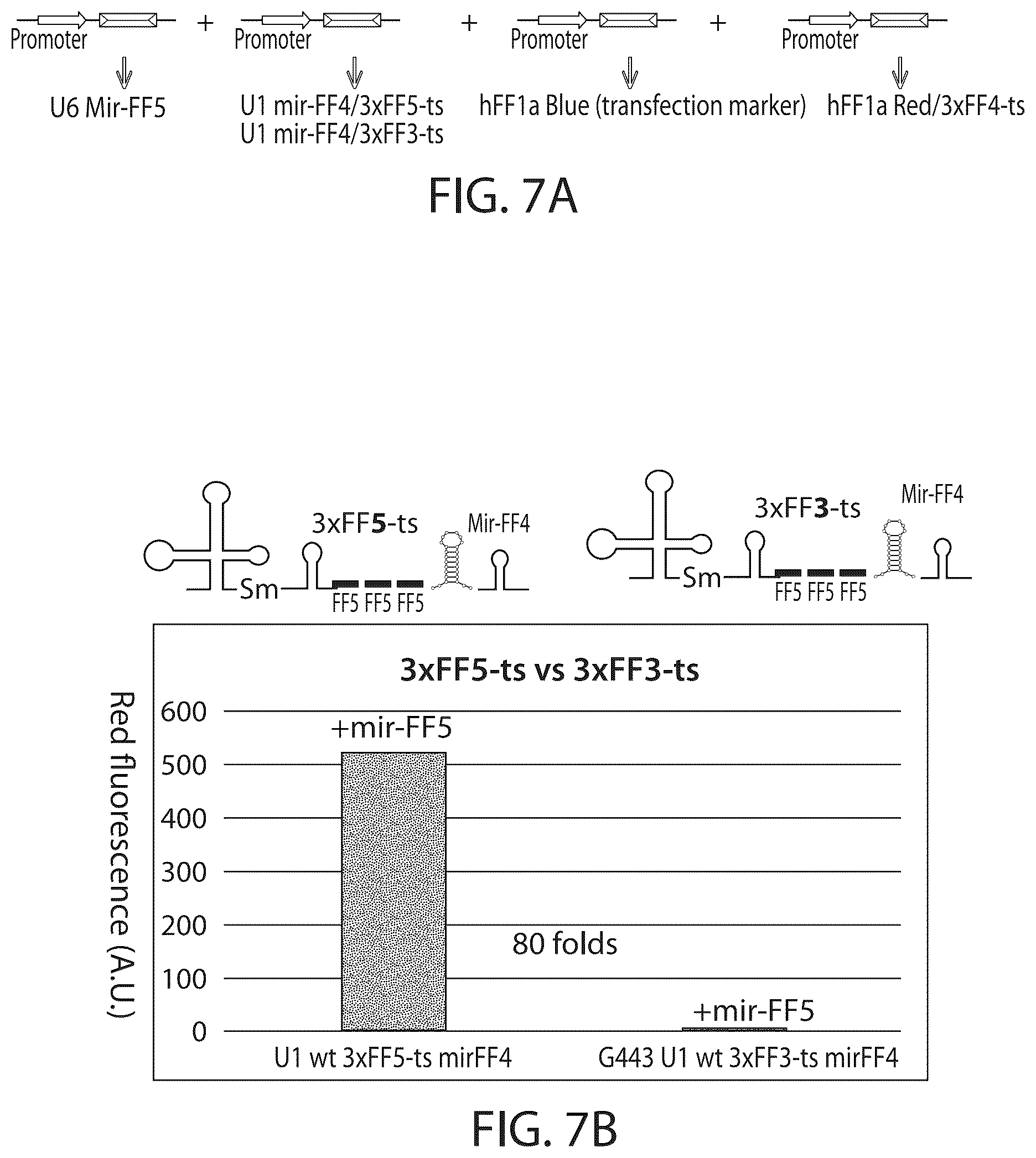 Patent US12312583 Figure 14 – MicroRNA-based logic gates and uses thereof