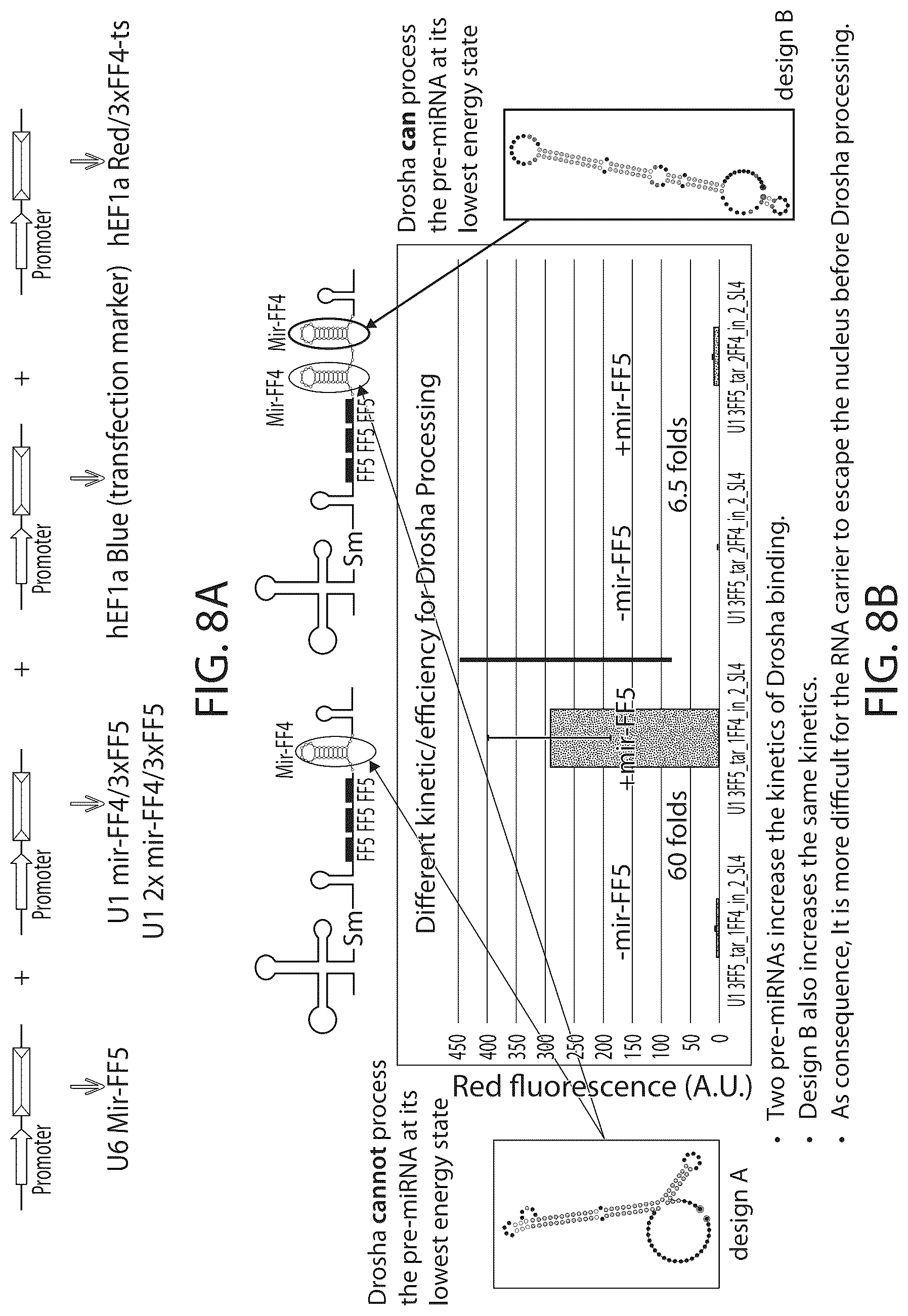 Patent US12312583 Figure 15 – MicroRNA-based logic gates and uses thereof