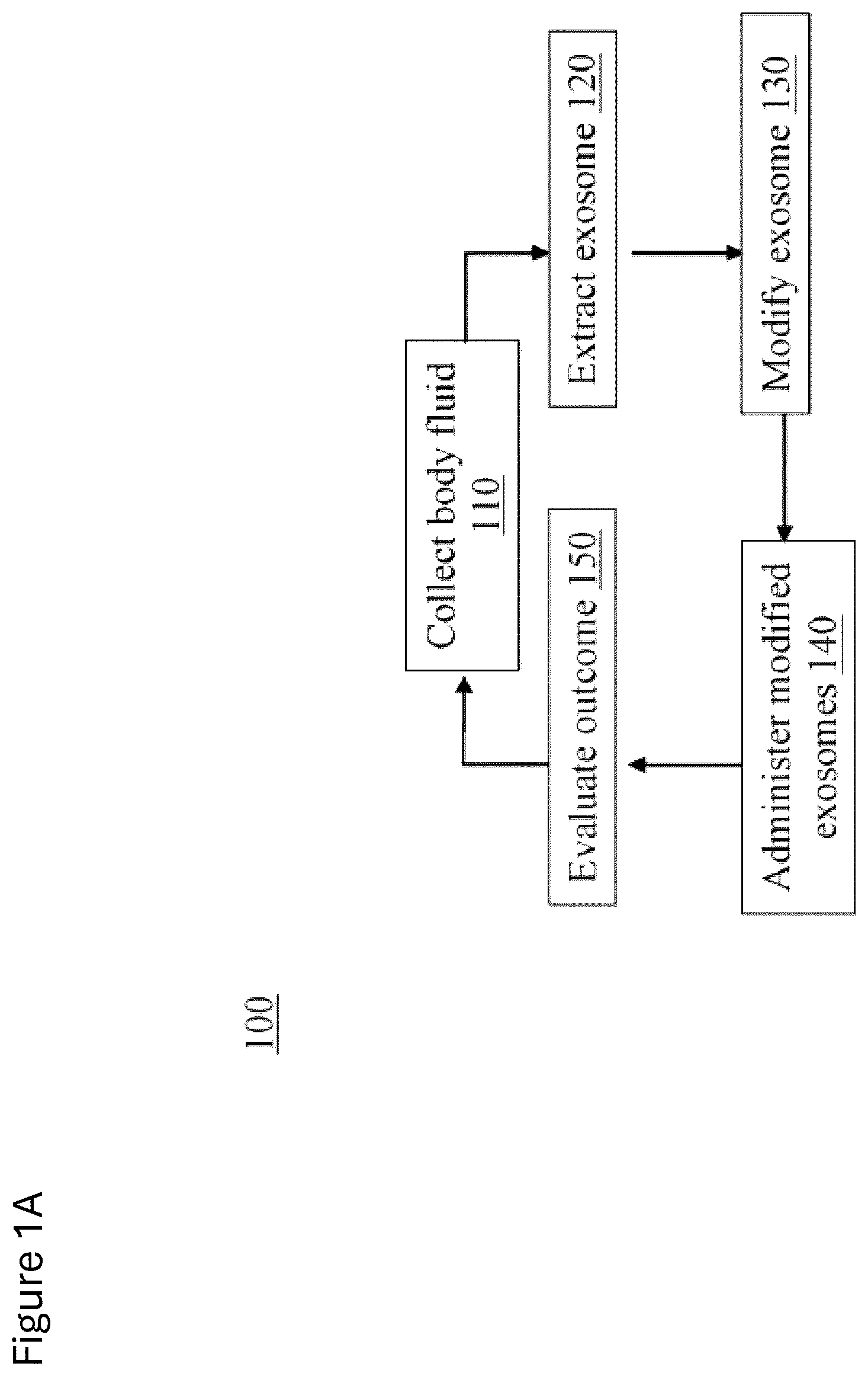 Patent US12312584 Figure 1 – cGMP exosome loaded therapeutics for treating sickle cell disease