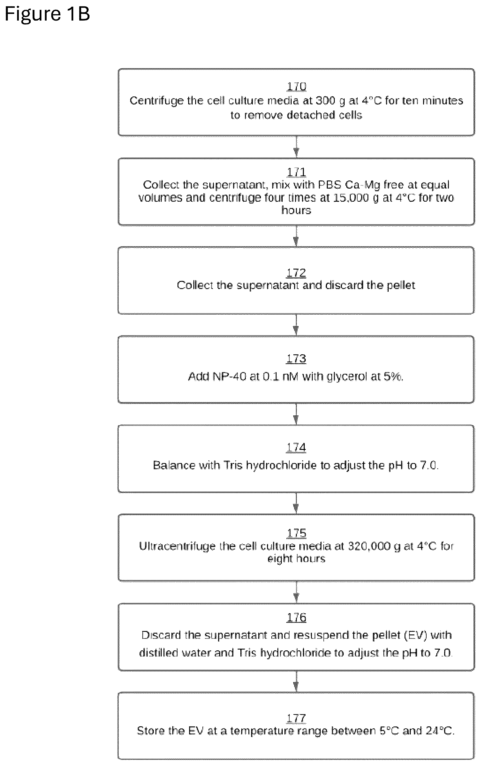 Patent US12312584 Figure 2 – cGMP exosome loaded therapeutics for treating sickle cell disease