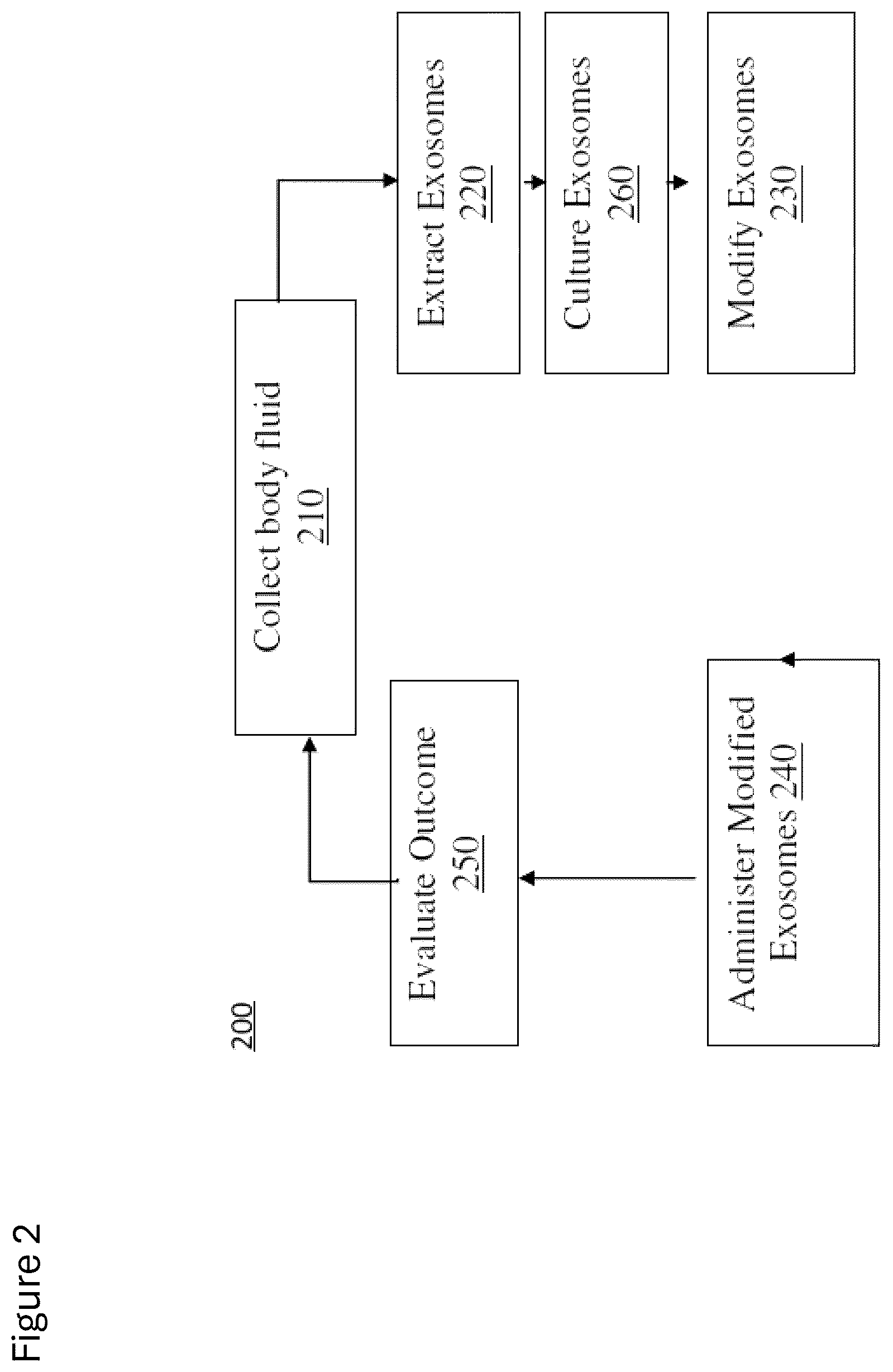 Patent US12312584 Figure 3 – cGMP exosome loaded therapeutics for treating sickle cell disease