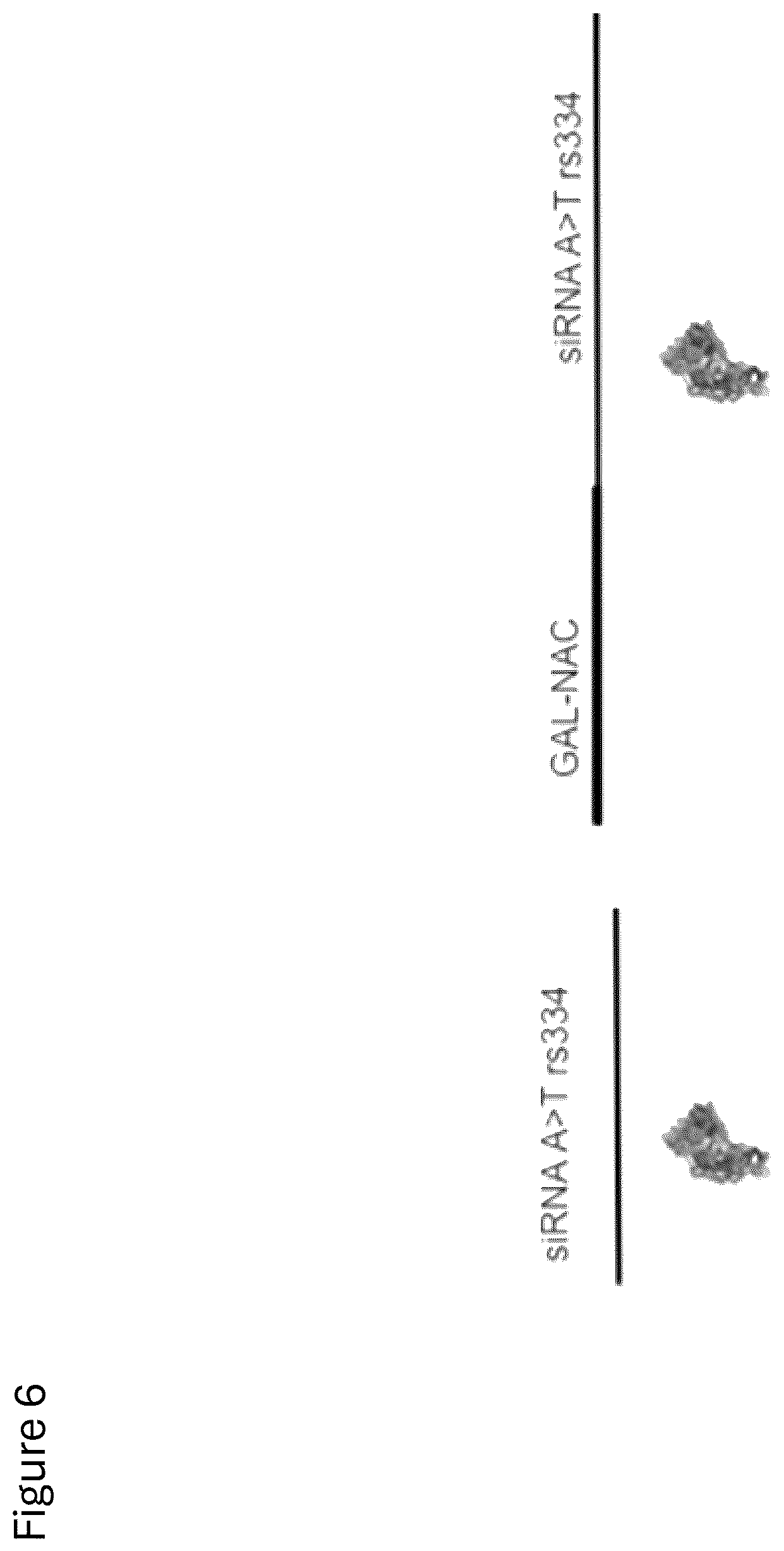 Patent US12312584 Figure 7 – cGMP exosome loaded therapeutics for treating sickle cell disease