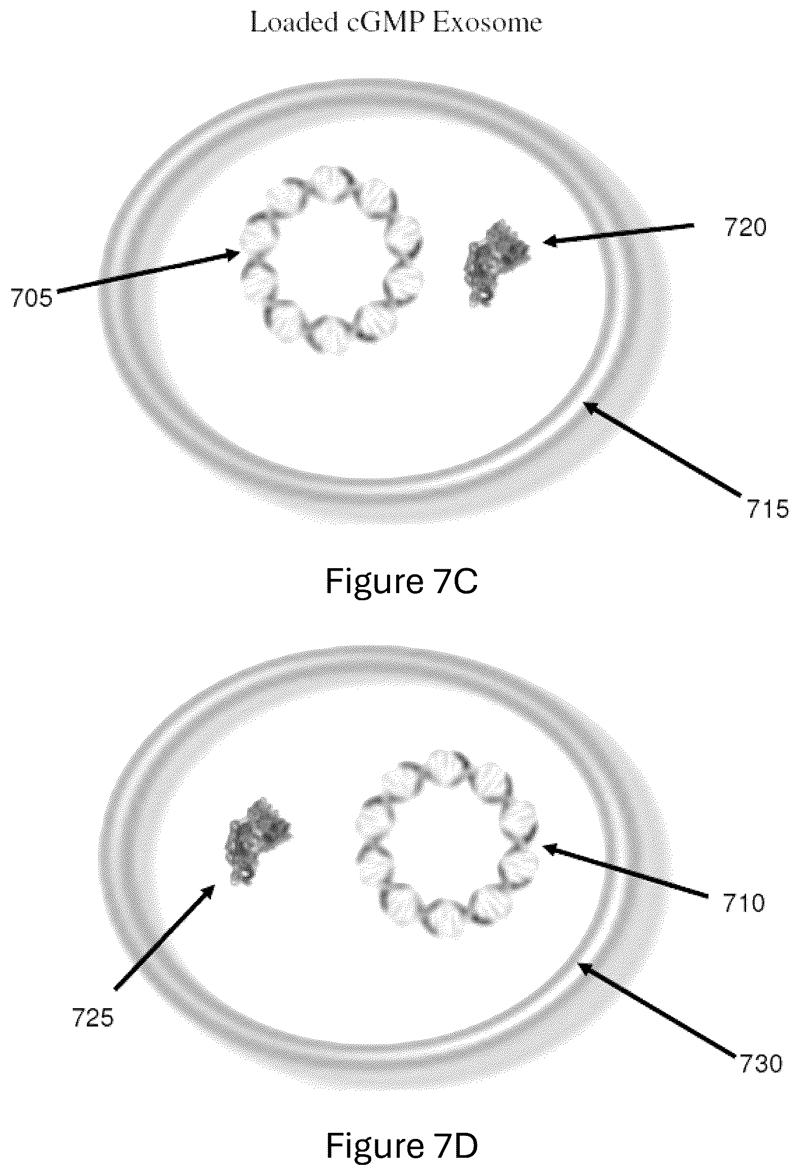 Patent US12312584 Figure 10 – cGMP exosome loaded therapeutics for treating sickle cell disease