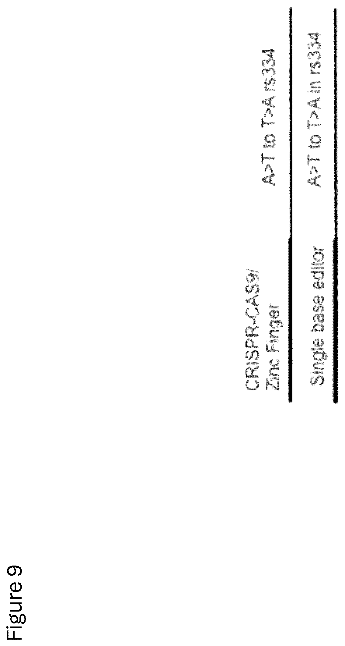 Patent US12312584 Figure 12 – cGMP exosome loaded therapeutics for treating sickle cell disease