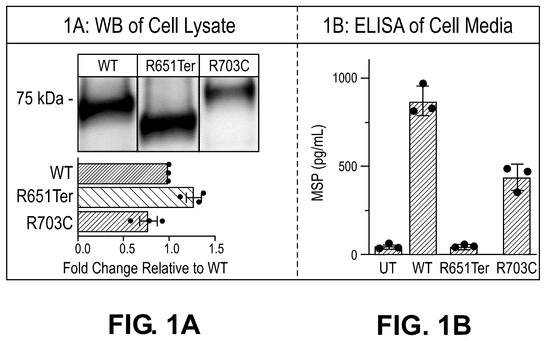 Patent US12312586 Figure 1 – Treatment of MST1 related diseases and disorders