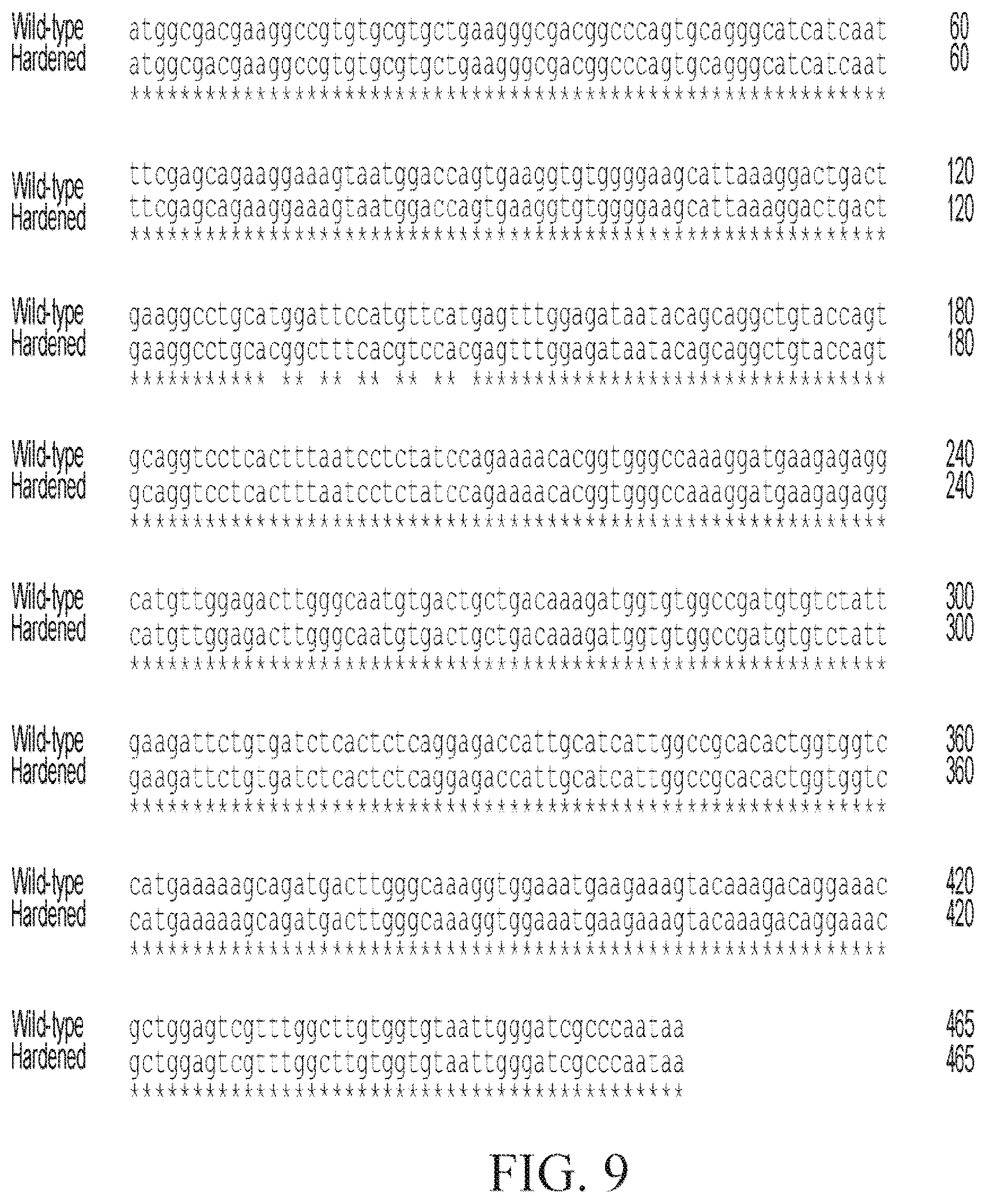 Patent US12312587 Figure 9 – SOD1 dual expression vectors and uses thereof