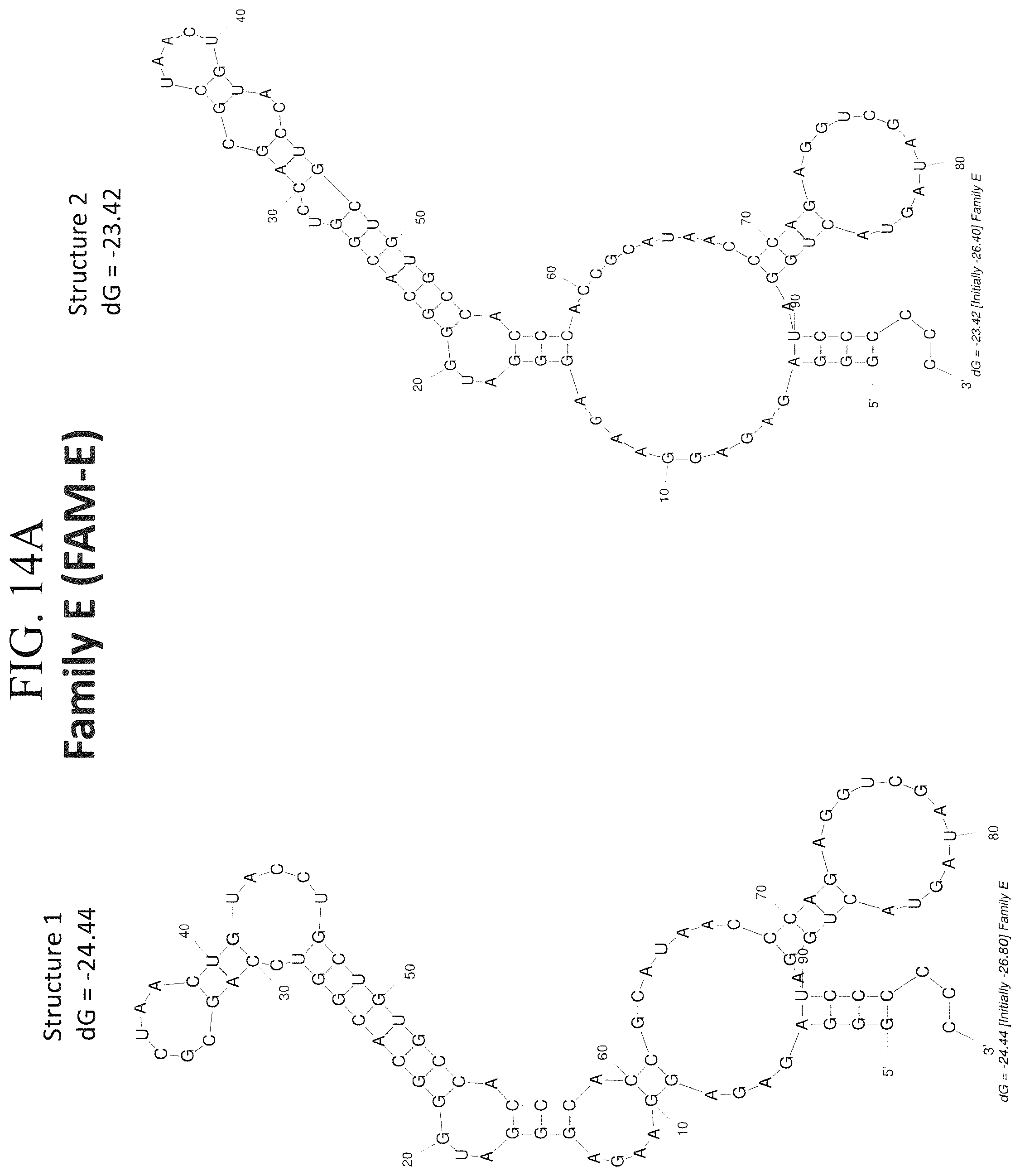 Patent US12312588 Figure 19 – 