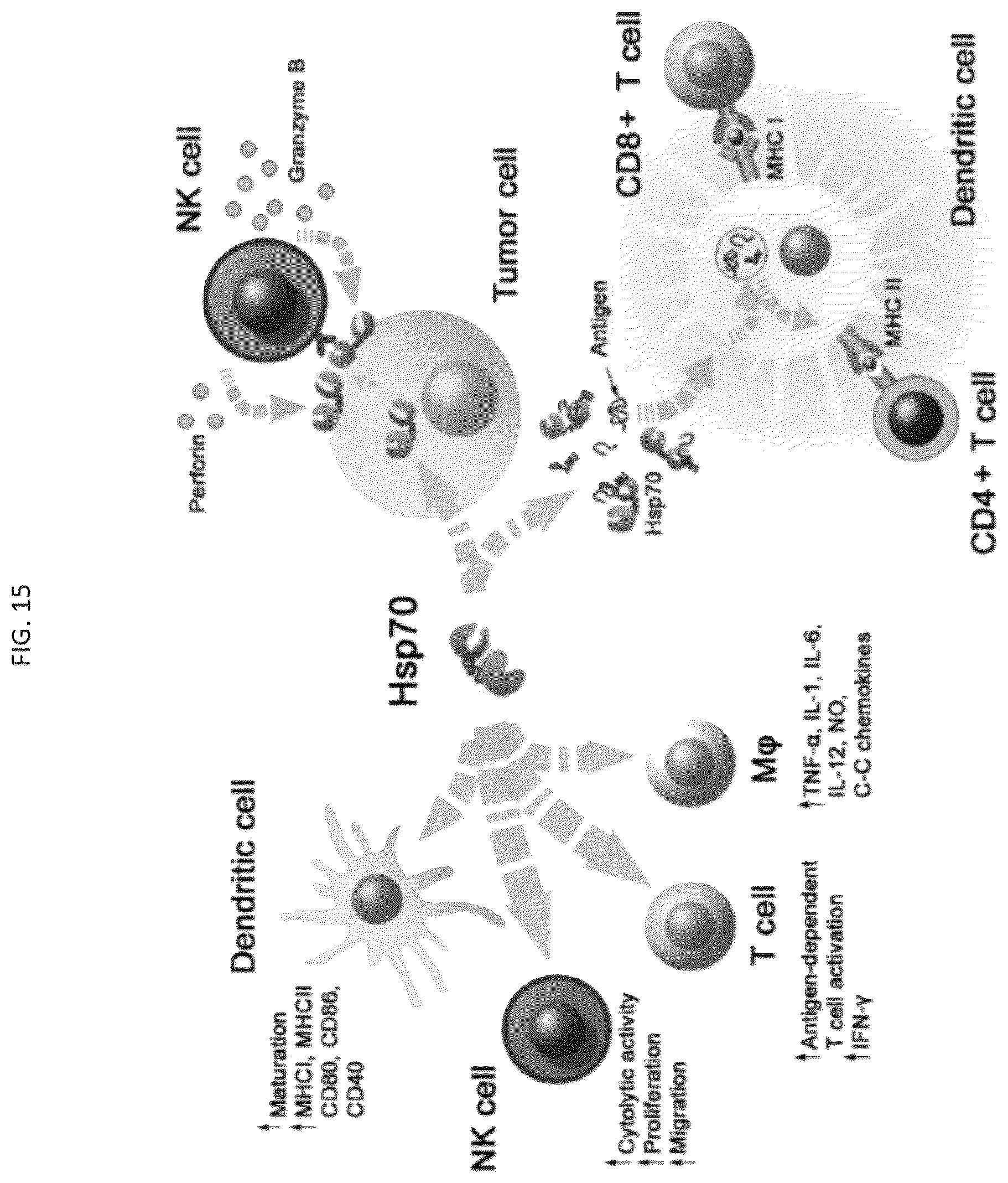 Patent US12312589 Figure 13 – RNA-nanostructured double robots and methods of use thereof