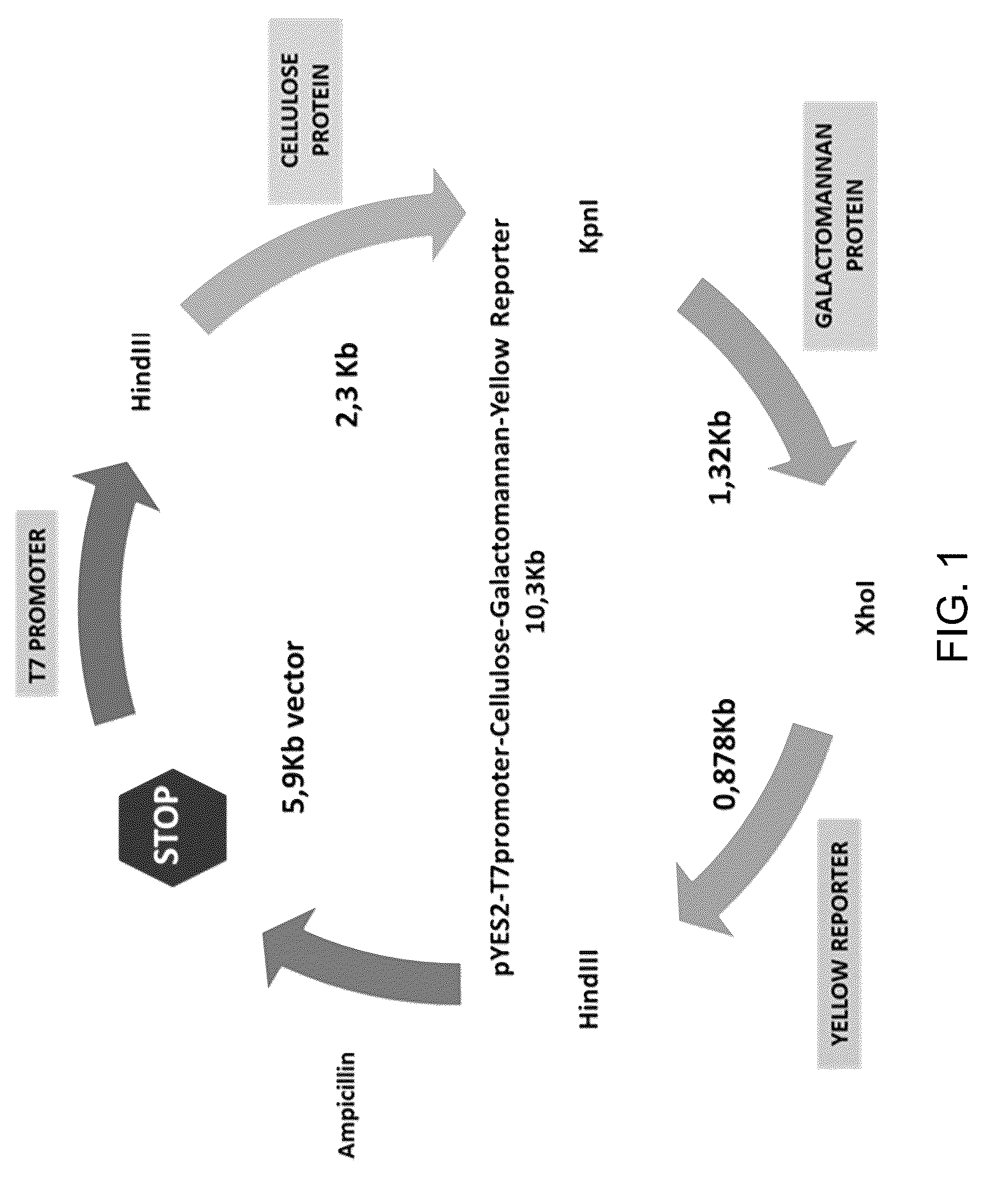 Patent US12312590 Figure 1 – Methods for producing carbo sugars and applications thereof