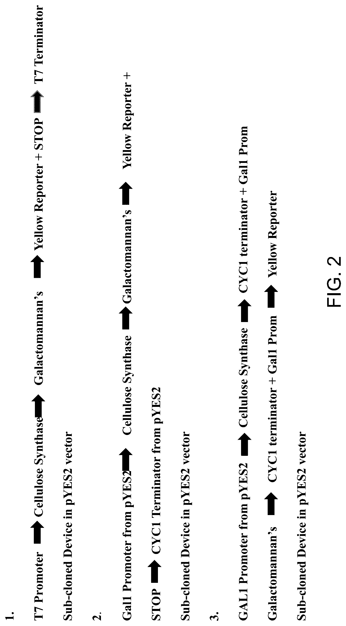 Patent US12312590 Figure 2 – Methods for producing carbo sugars and applications thereof