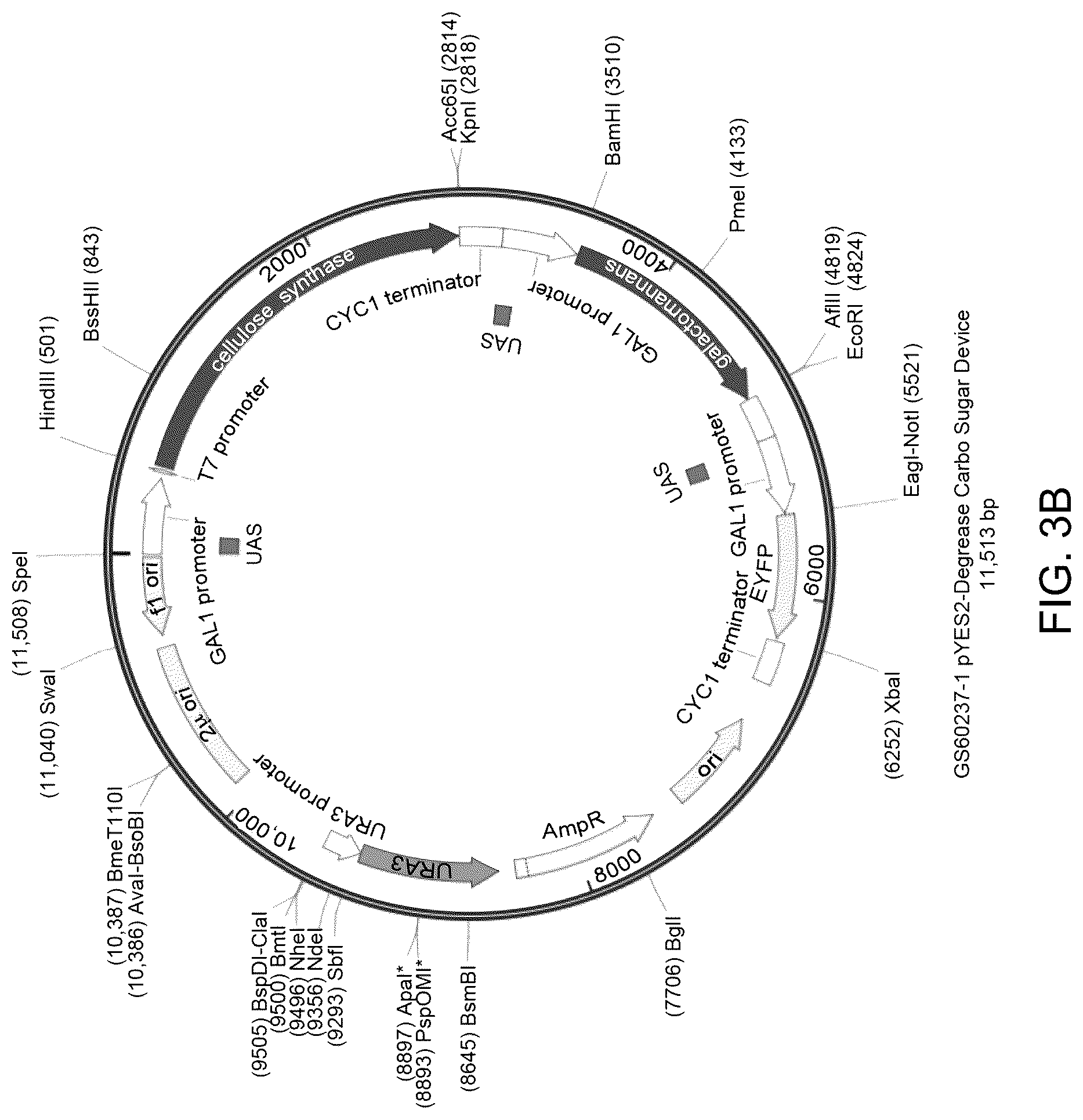 Patent US12312590 Figure 4 – Methods for producing carbo sugars and applications thereof