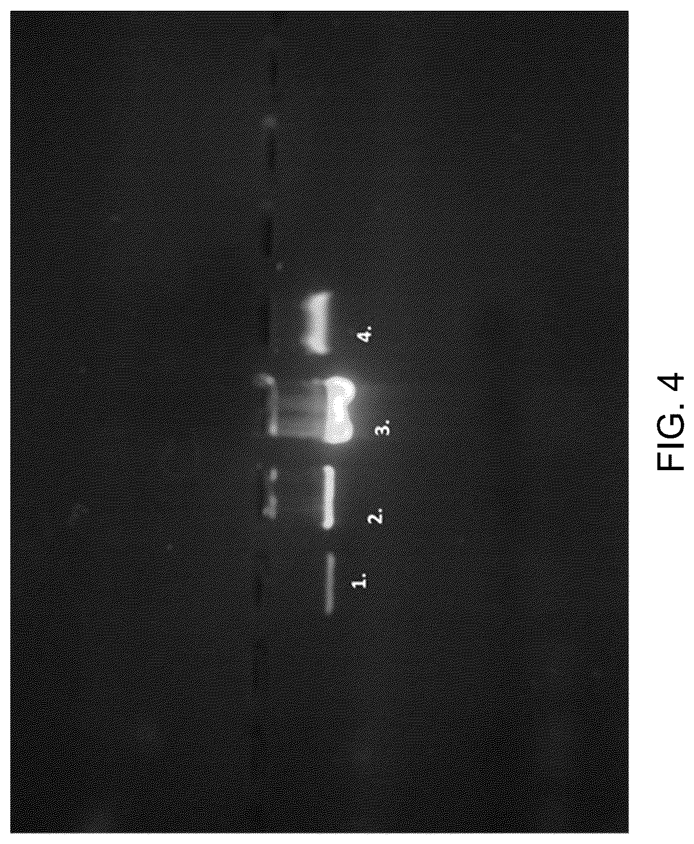 Patent US12312590 Figure 5 – Methods for producing carbo sugars and applications thereof
