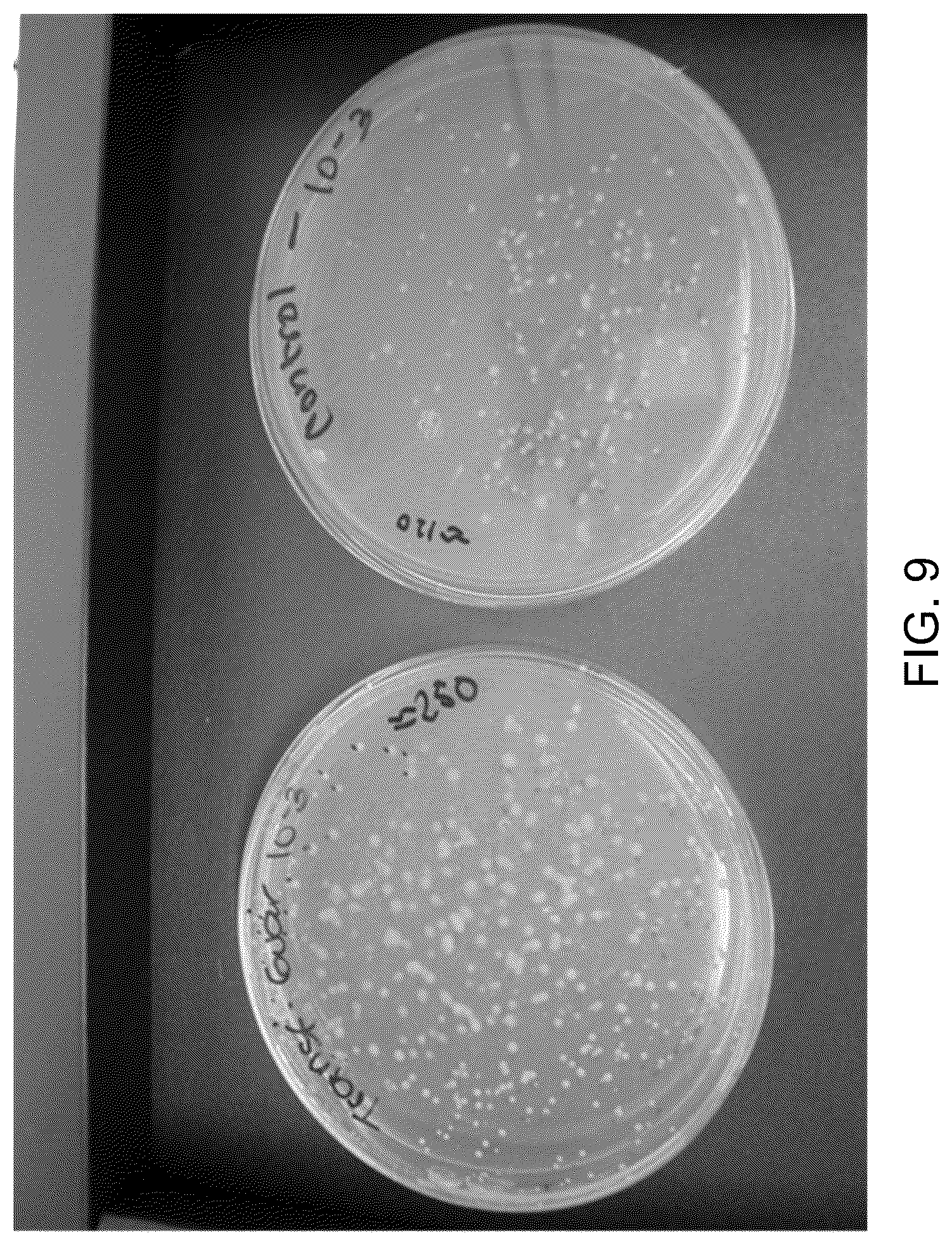 Patent US12312590 Figure 10 – Methods for producing carbo sugars and applications thereof