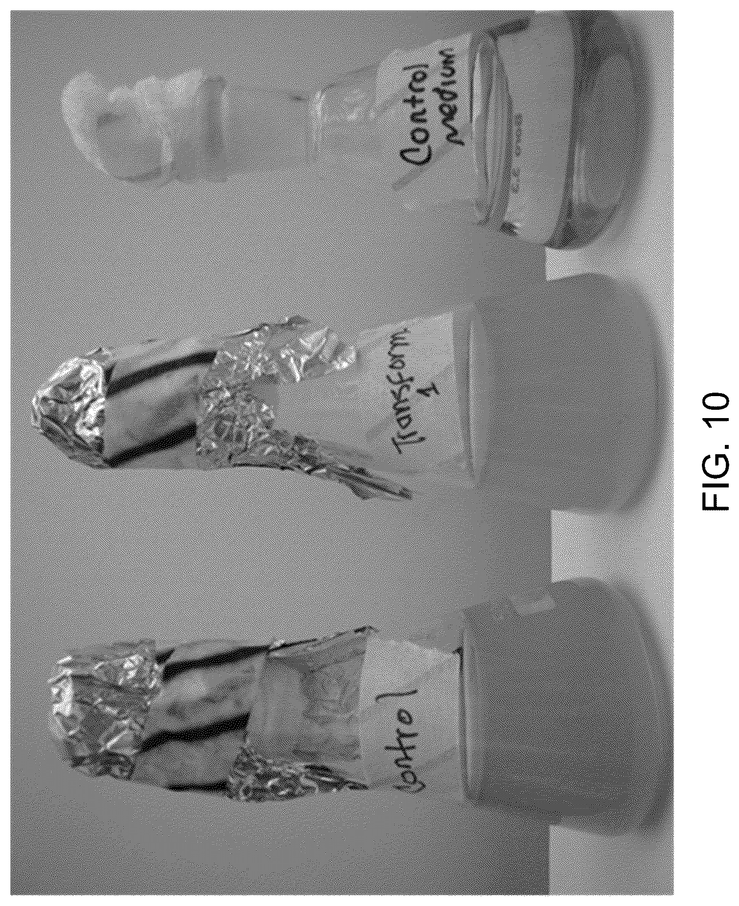 Patent US12312590 Figure 11 – Methods for producing carbo sugars and applications thereof