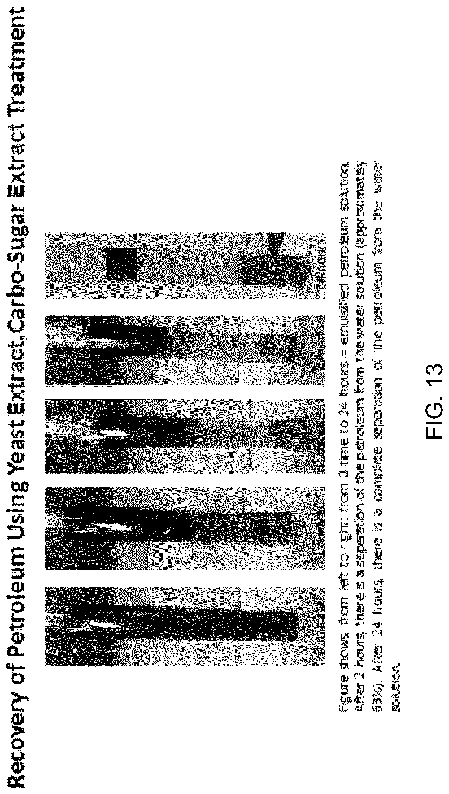 Patent US12312590 Figure 14 – Methods for producing carbo sugars and applications thereof