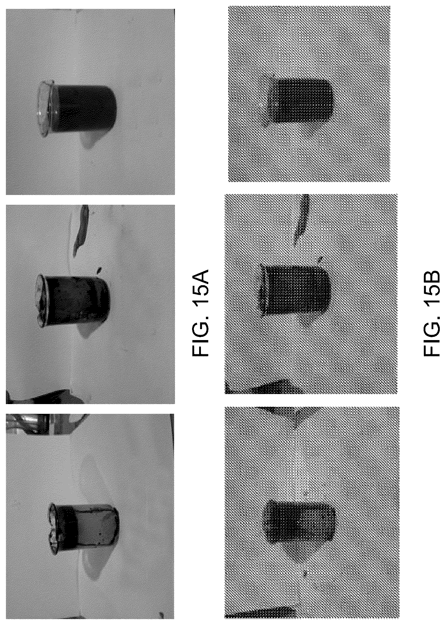 Patent US12312590 Figure 19 – Methods for producing carbo sugars and applications thereof