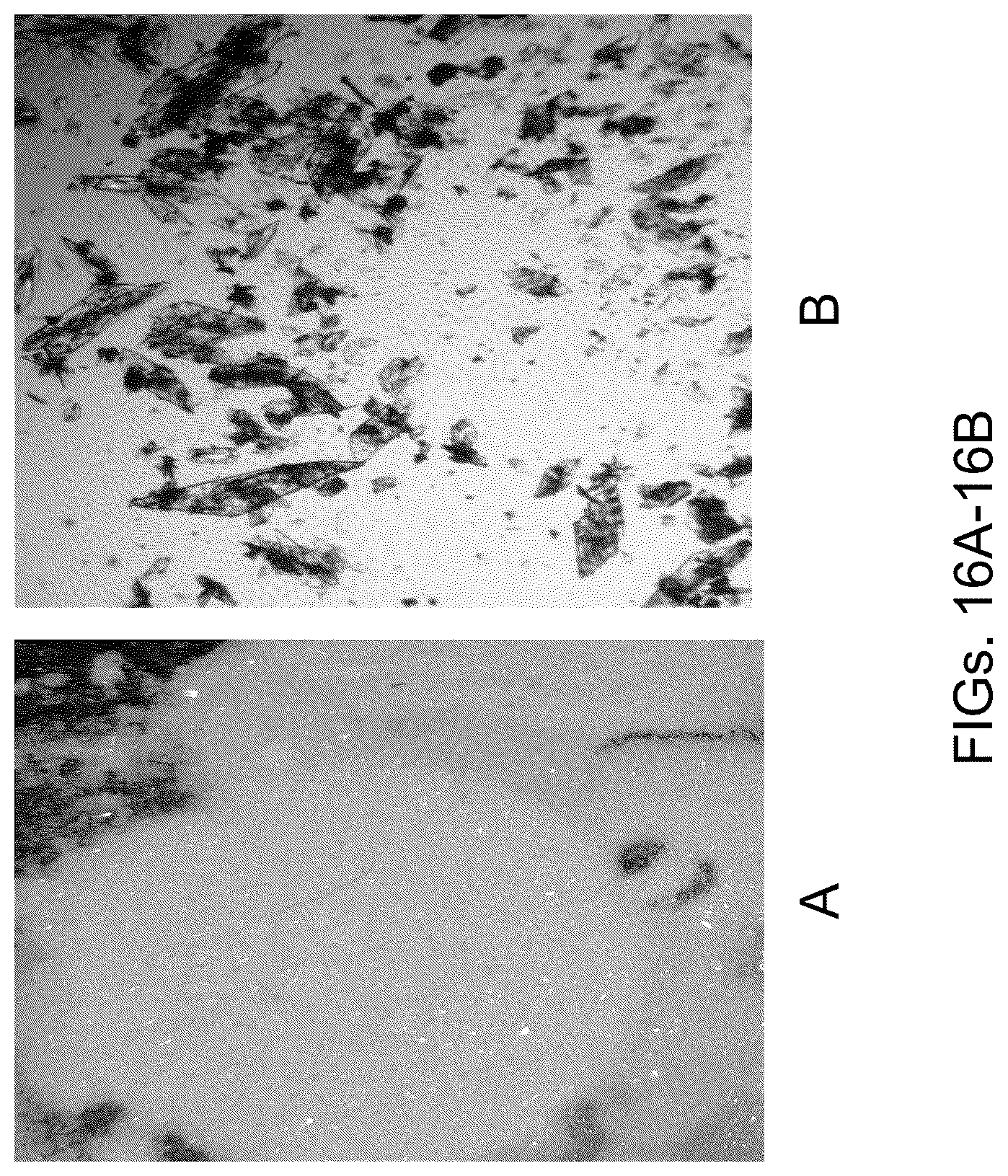 Patent US12312590 Figure 20 – Methods for producing carbo sugars and applications thereof