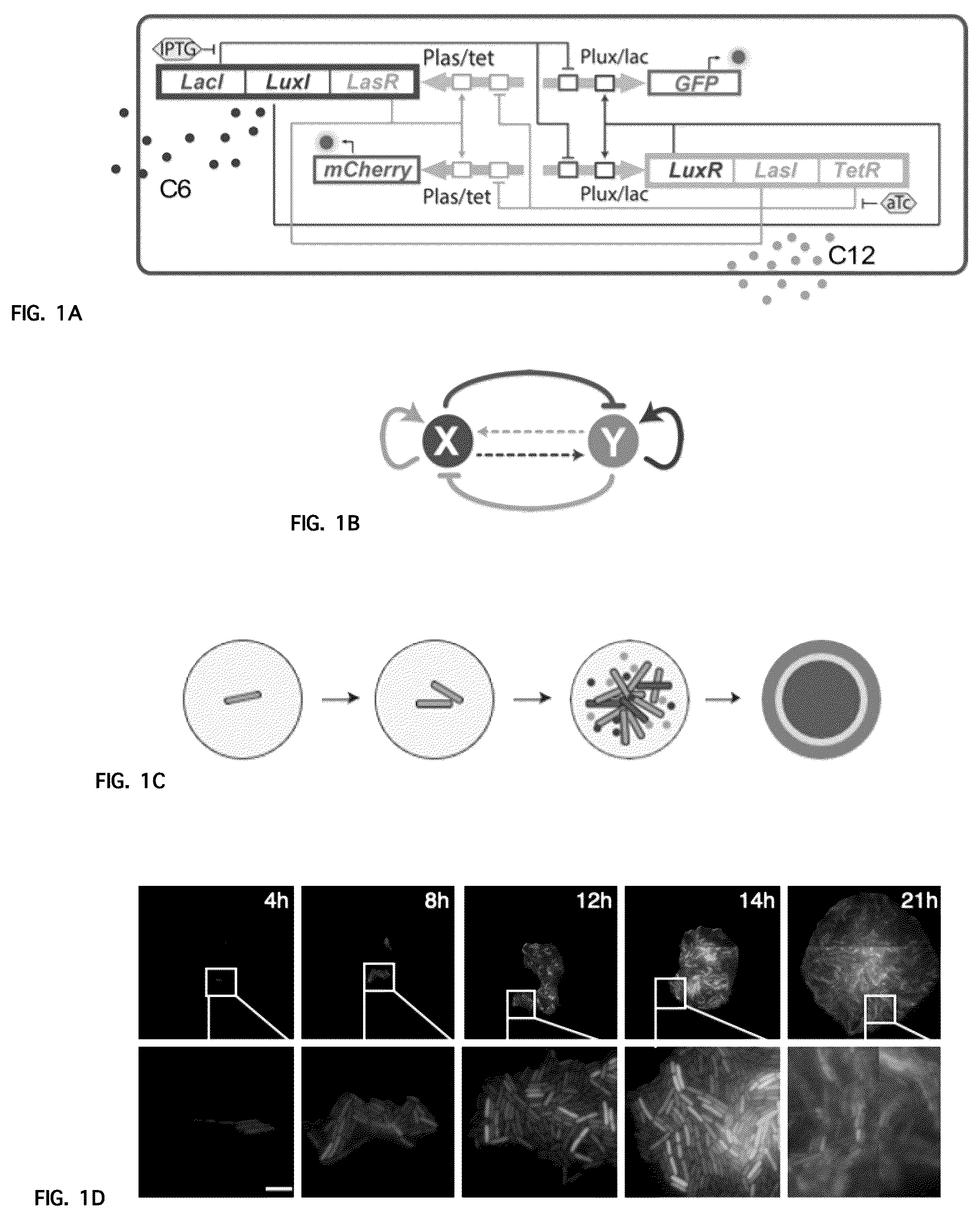Patent US12312591 — Methods and systems for generating complex spatial patterns — Figure 1