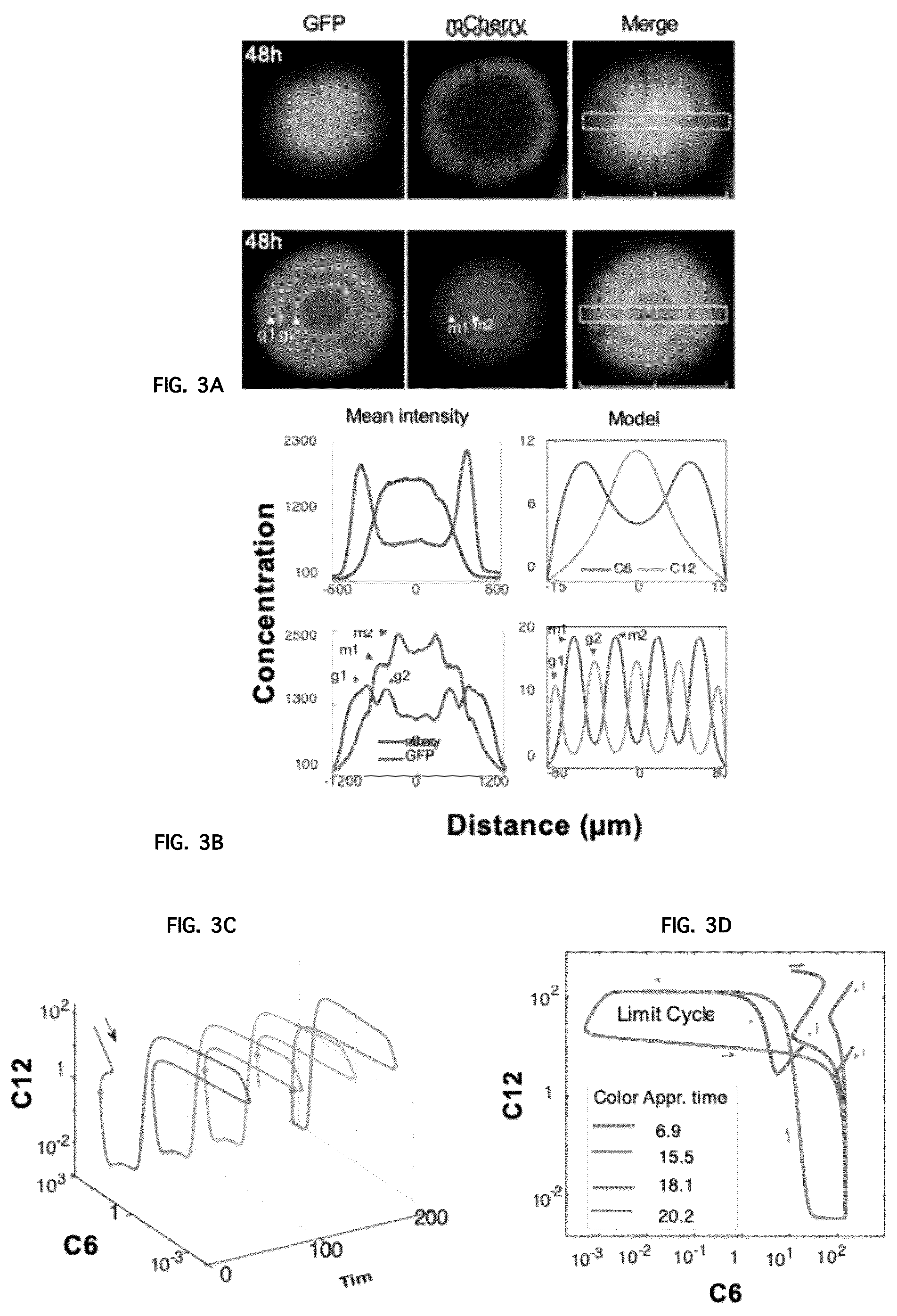 Patent US12312591 Figure 4 – Methods and systems for generating complex spatial patterns