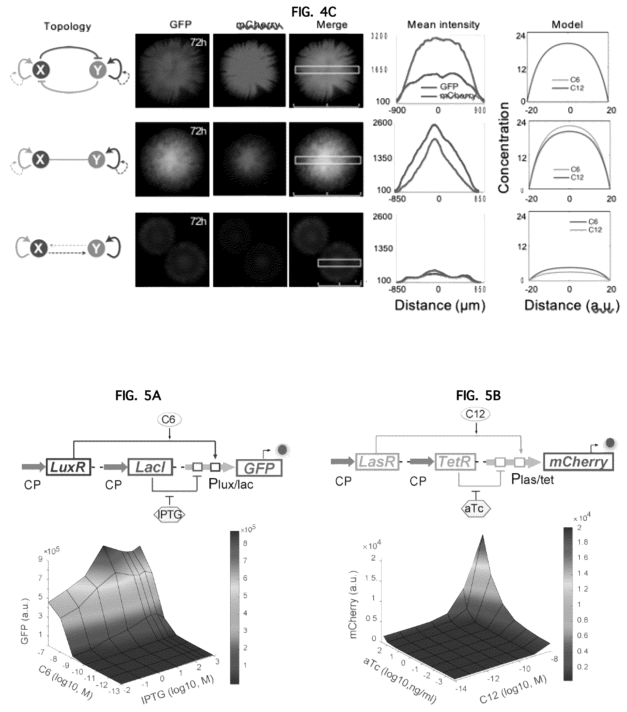 Patent US12312591 Figure 6 – Methods and systems for generating complex spatial patterns