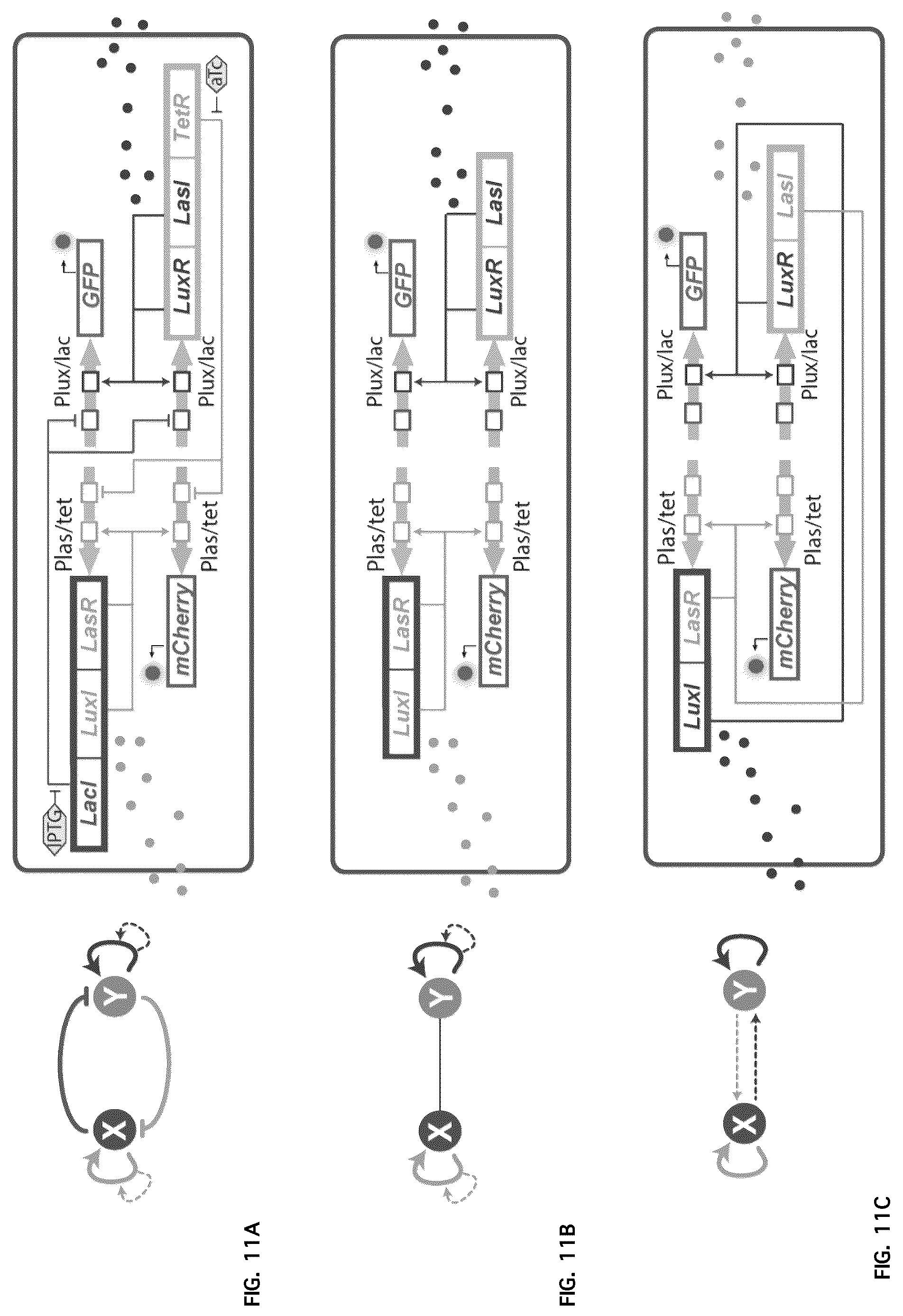 Patent US12312591 Figure 11 – Methods and systems for generating complex spatial patterns