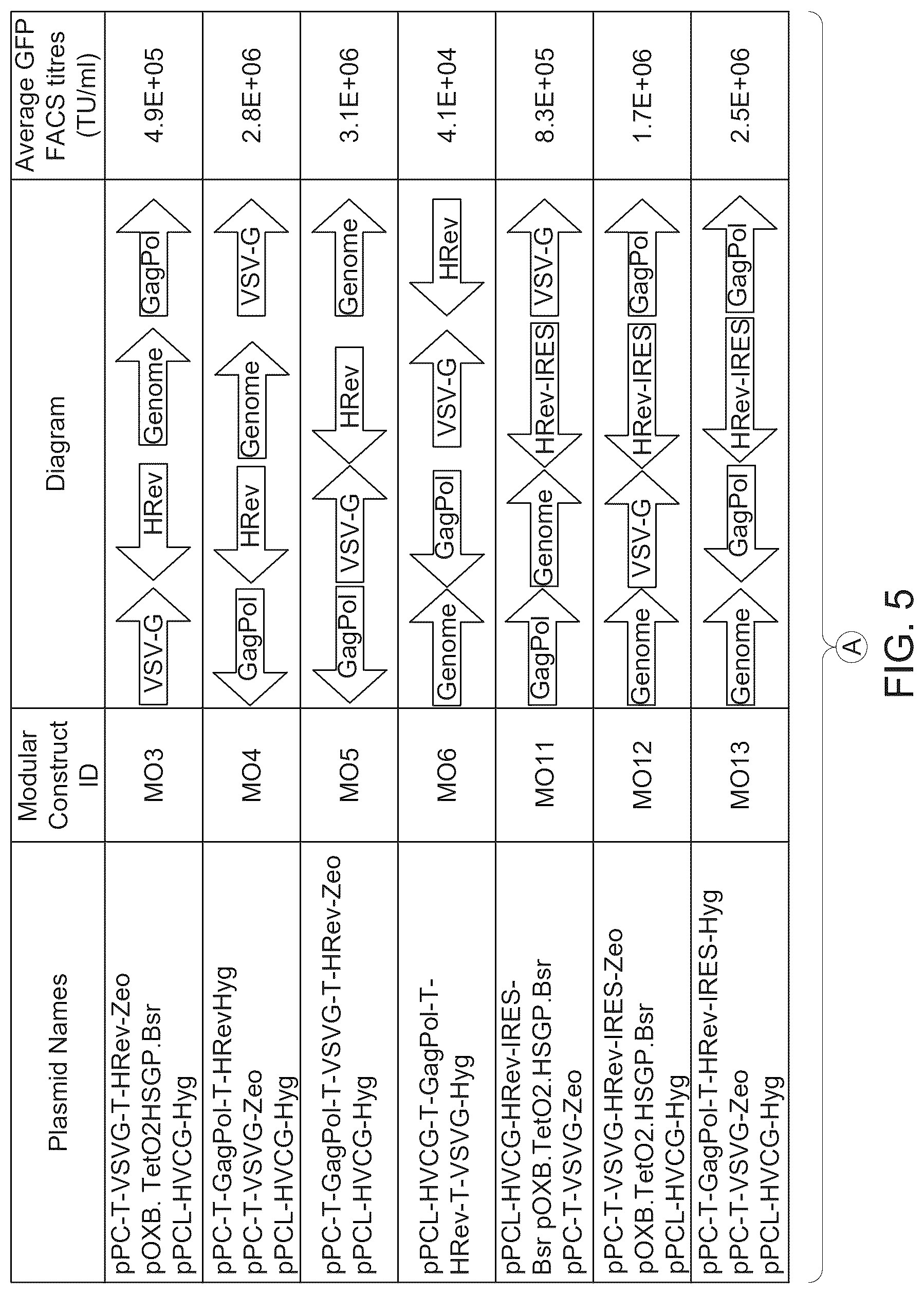 Patent US12312592 Figure 5 – Retroviral vector