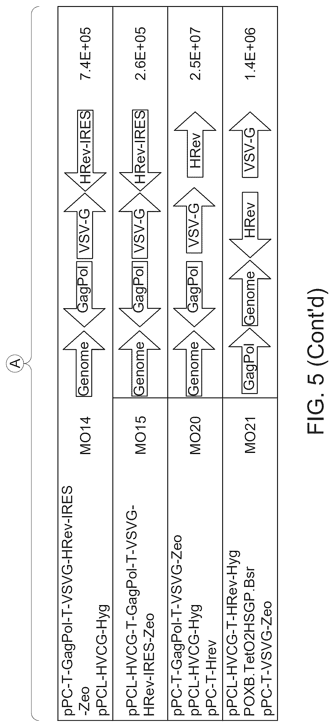 Patent US12312592 Figure 6 – Retroviral vector