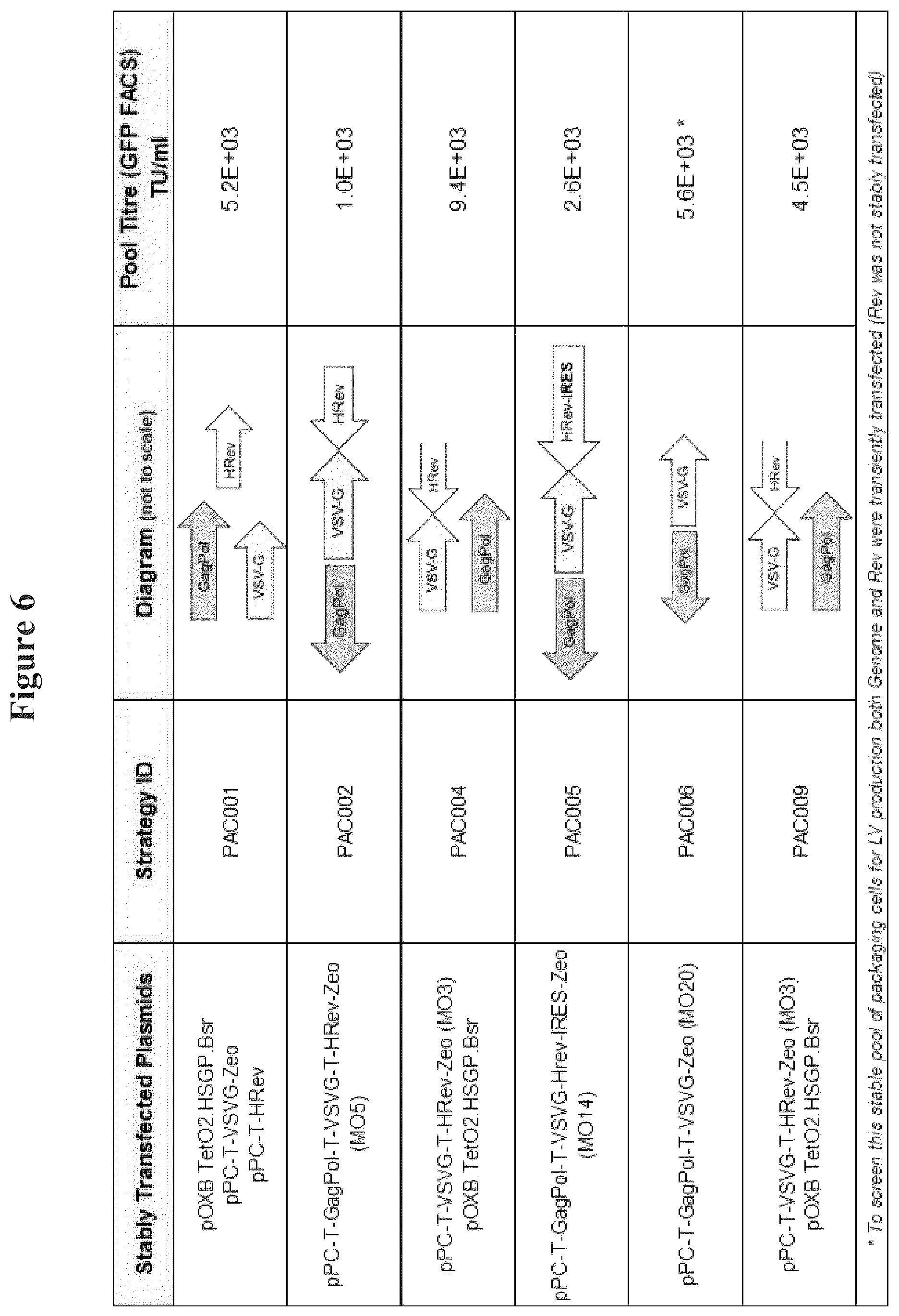 Patent US12312592 Figure 7 – Retroviral vector