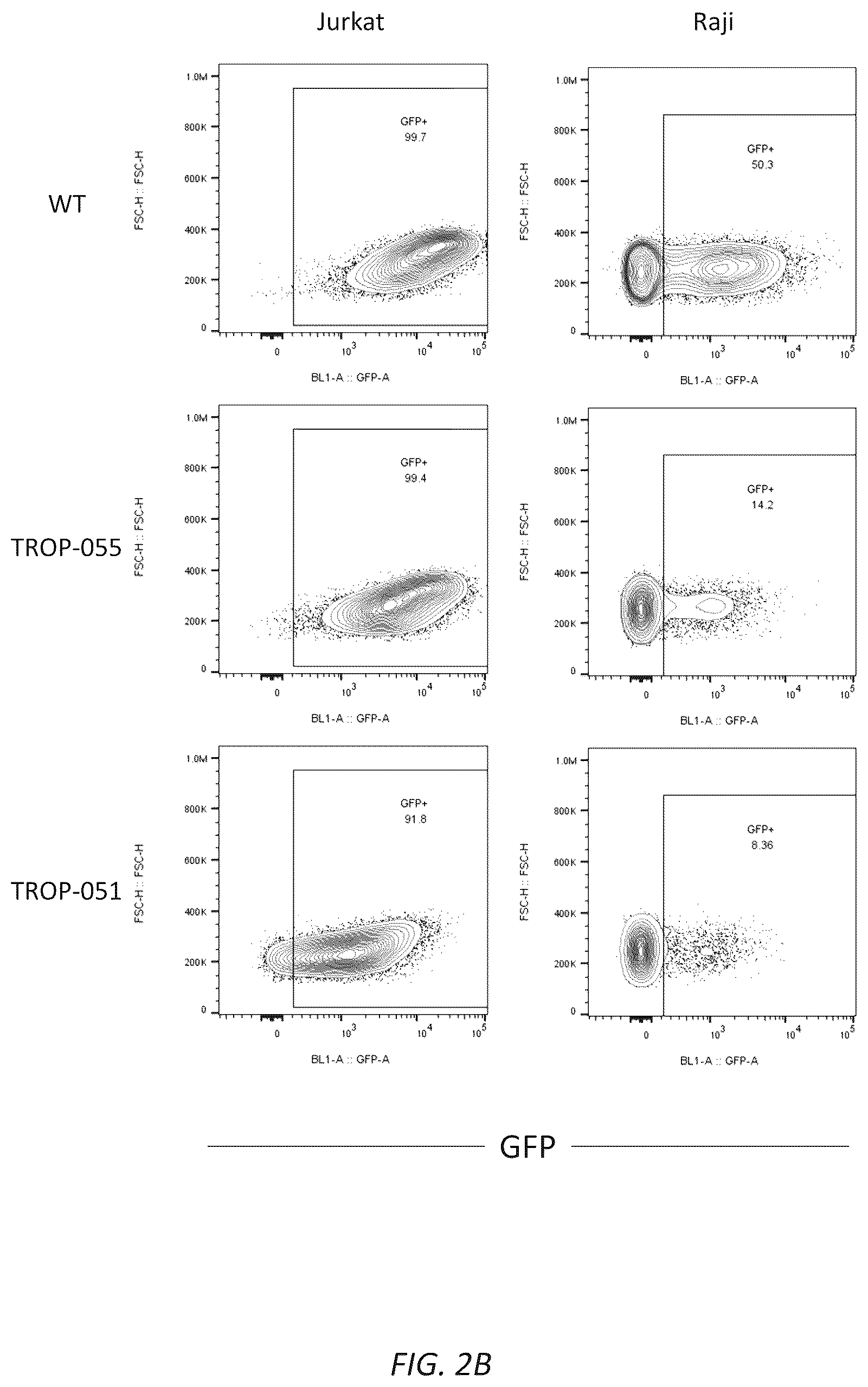Patent US12312593 Figure 3 – Lymphocyte targeted lentiviral vectors