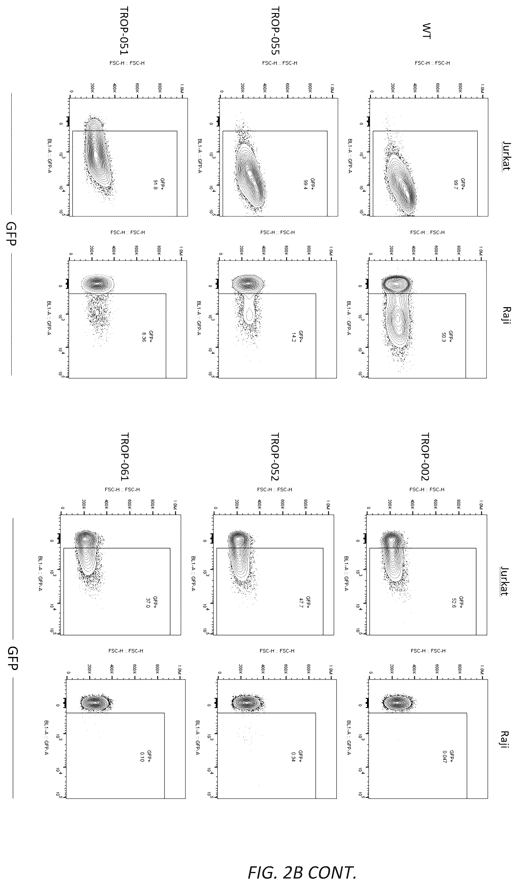 Patent US12312593 Figure 5 – Lymphocyte targeted lentiviral vectors