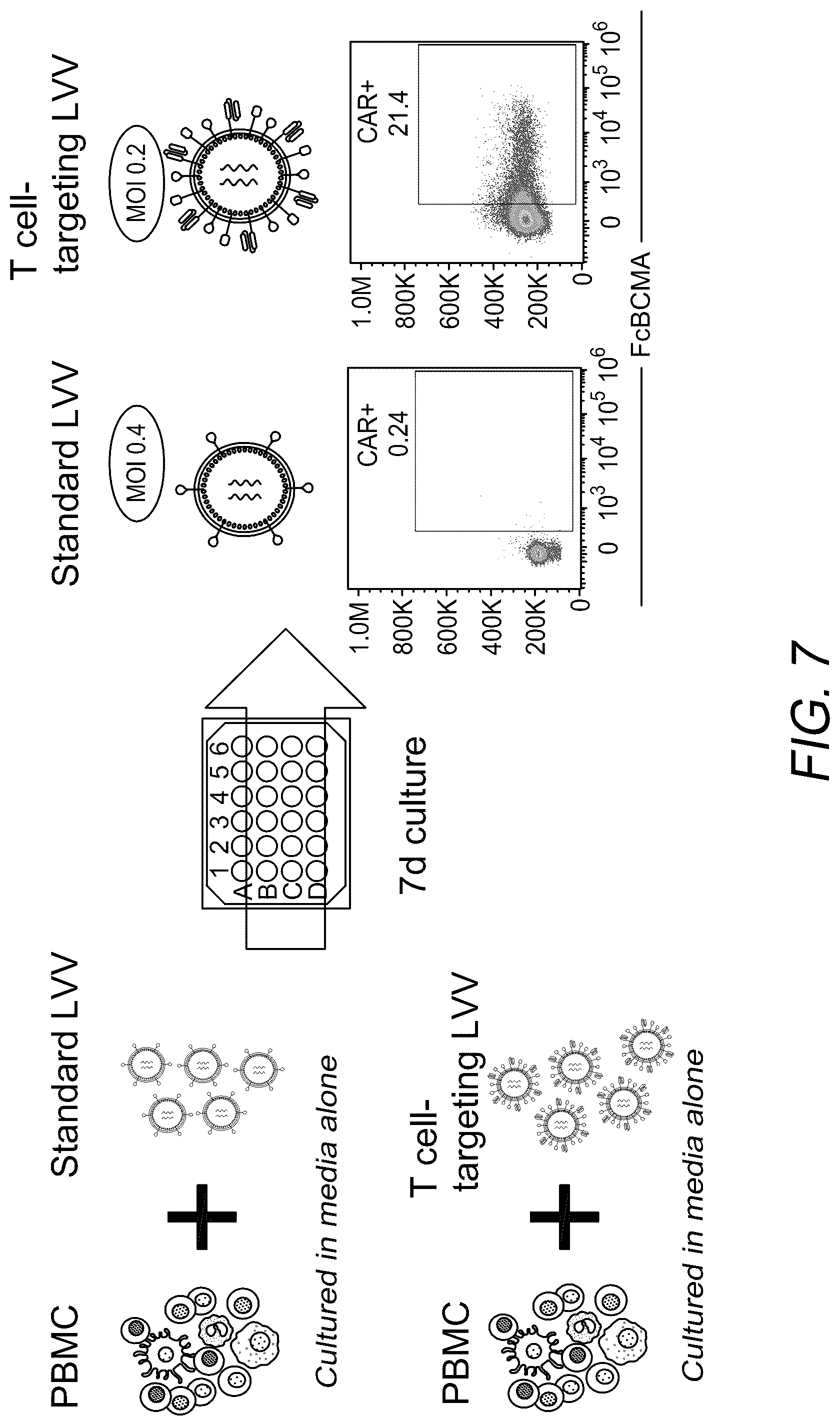 Patent US12312593 Figure 14 – Lymphocyte targeted lentiviral vectors
