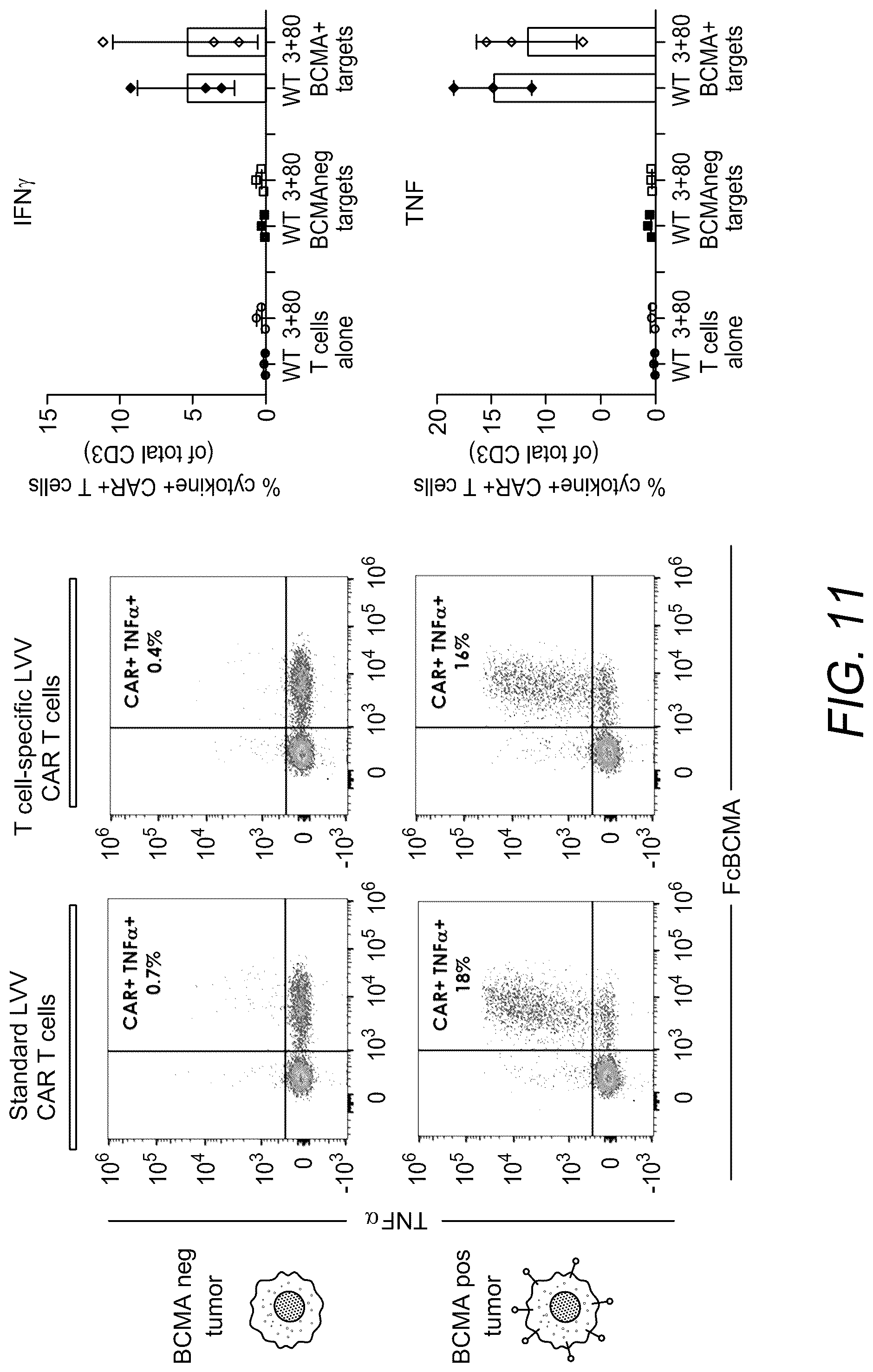 Patent US12312593 Figure 18 – Lymphocyte targeted lentiviral vectors