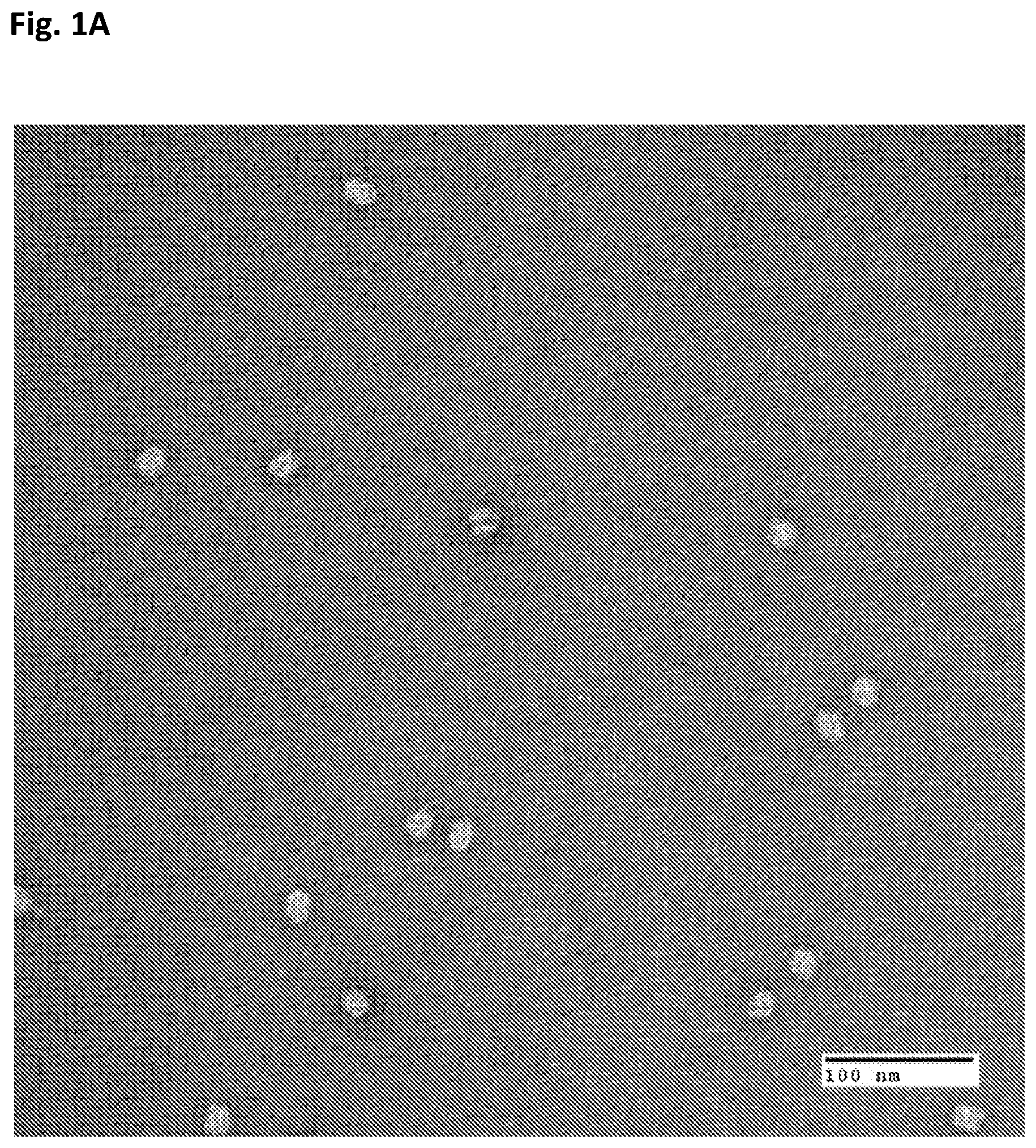 Patent US12312594 — Nucleic acid origami structure encapsulated by capsid units — Figure 1