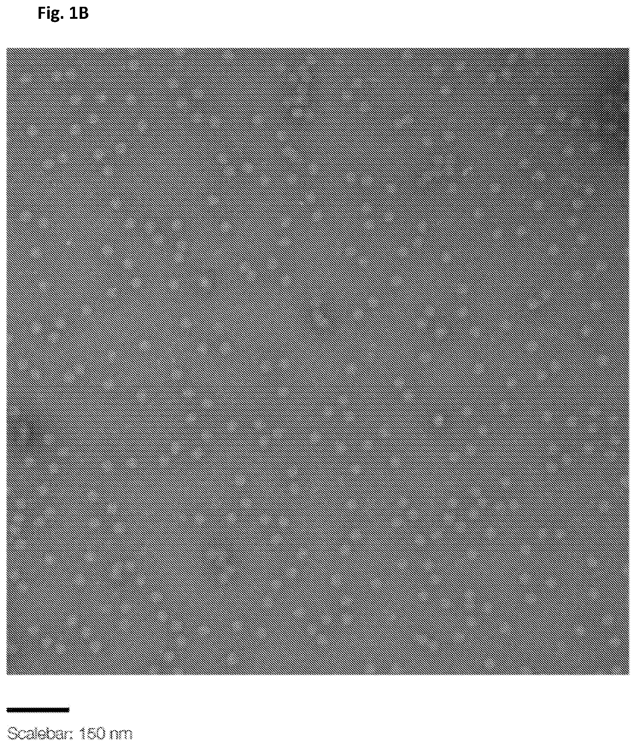 Patent US12312594 Figure 2 – Nucleic acid origami structure encapsulated by capsid units