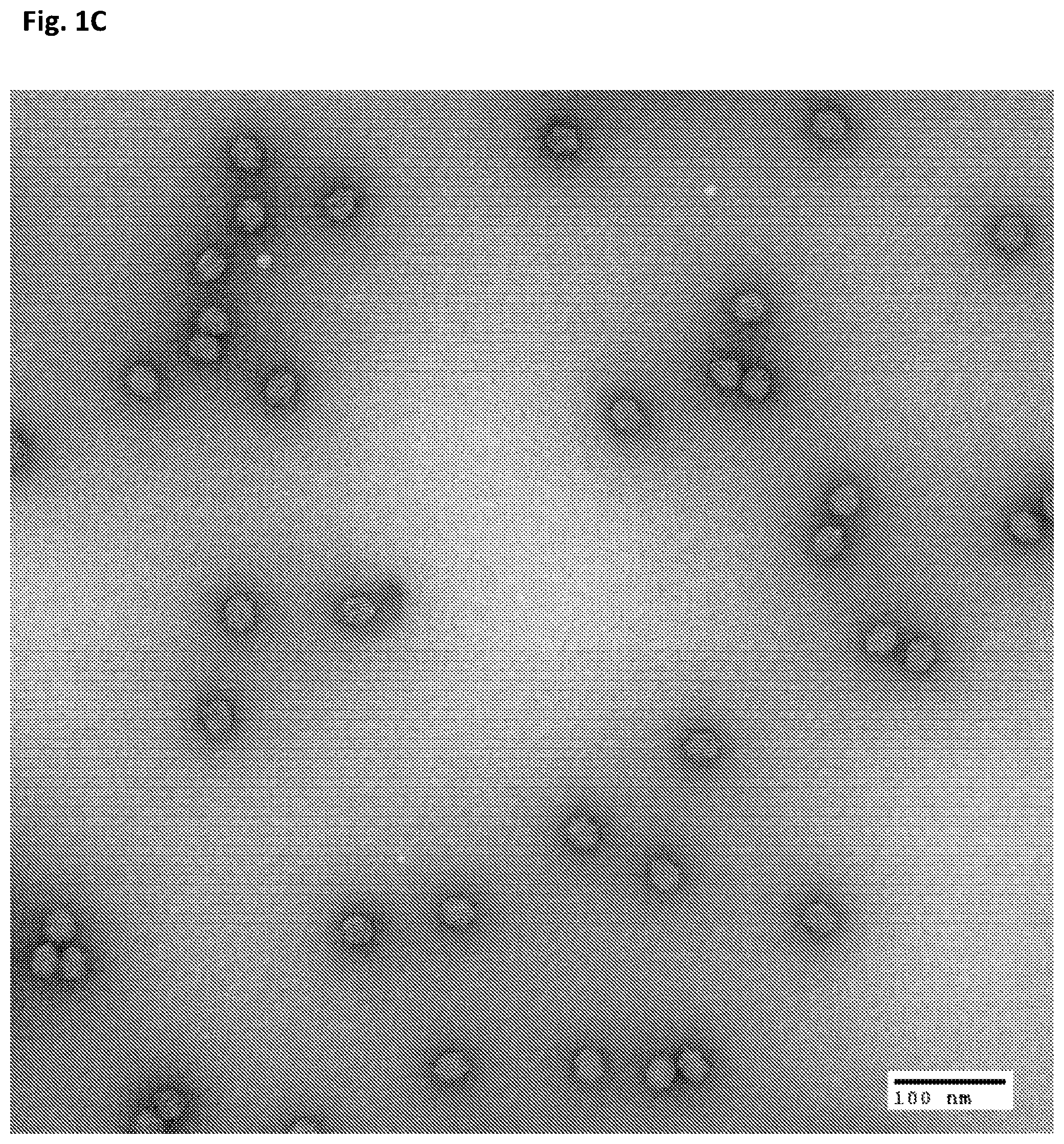 Patent US12312594 Figure 3 – Nucleic acid origami structure encapsulated by capsid units