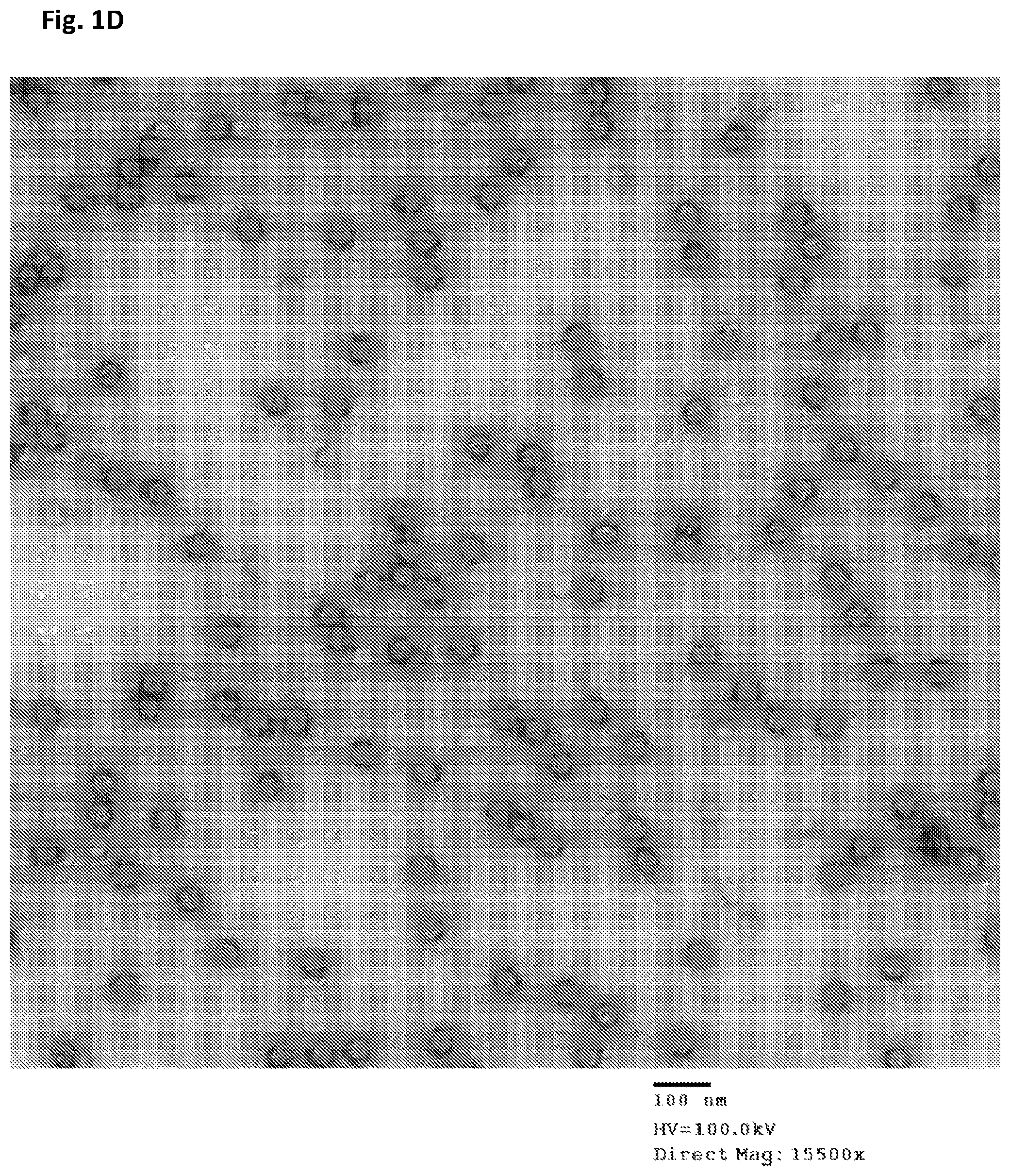 Patent US12312594 Figure 4 – Nucleic acid origami structure encapsulated by capsid units