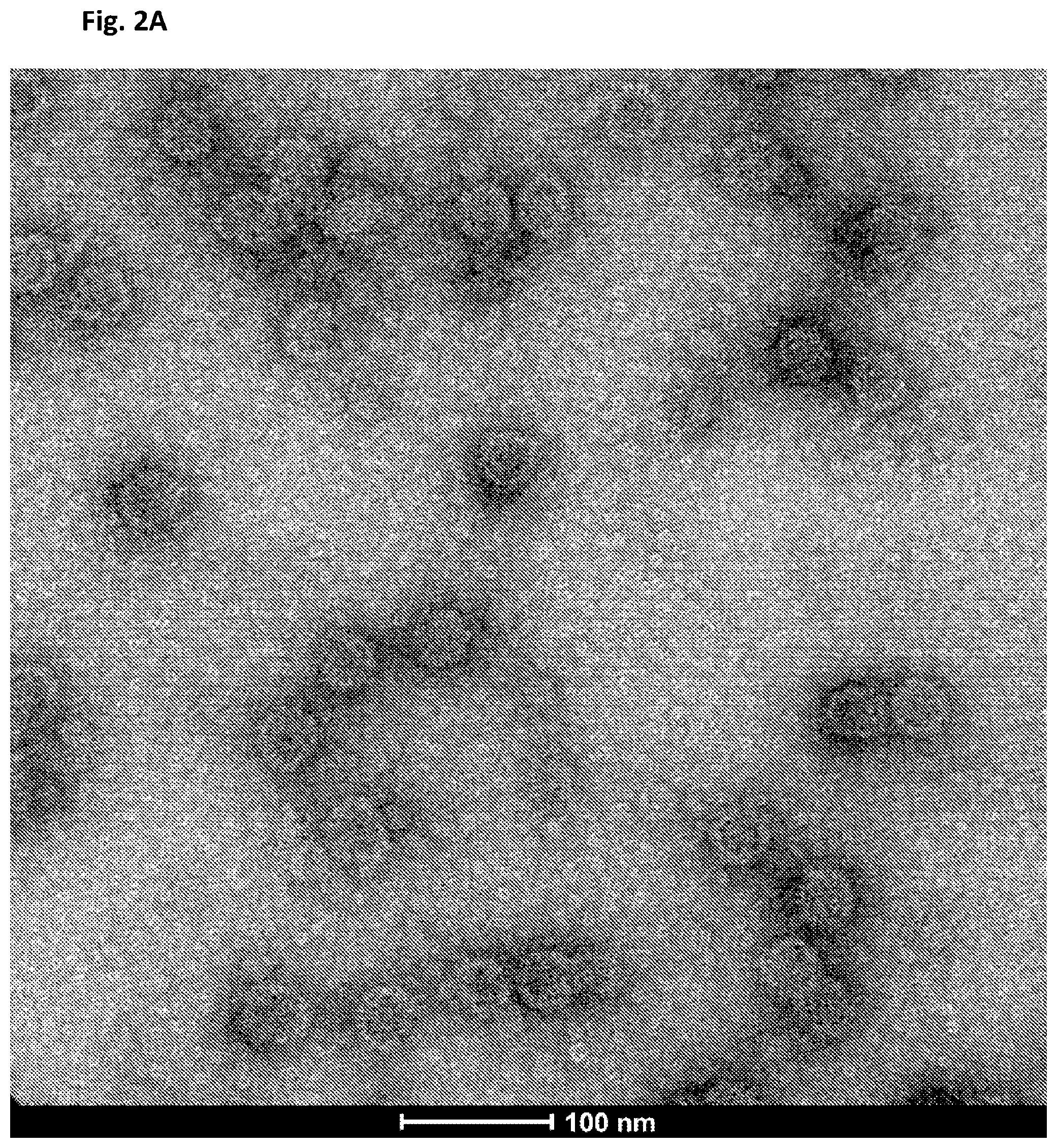 Patent US12312594 Figure 5 – Nucleic acid origami structure encapsulated by capsid units