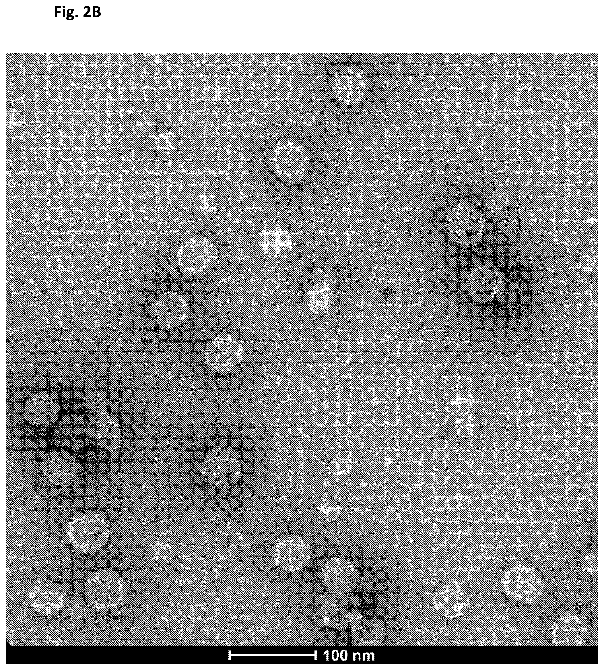 Patent US12312594 Figure 6 – Nucleic acid origami structure encapsulated by capsid units